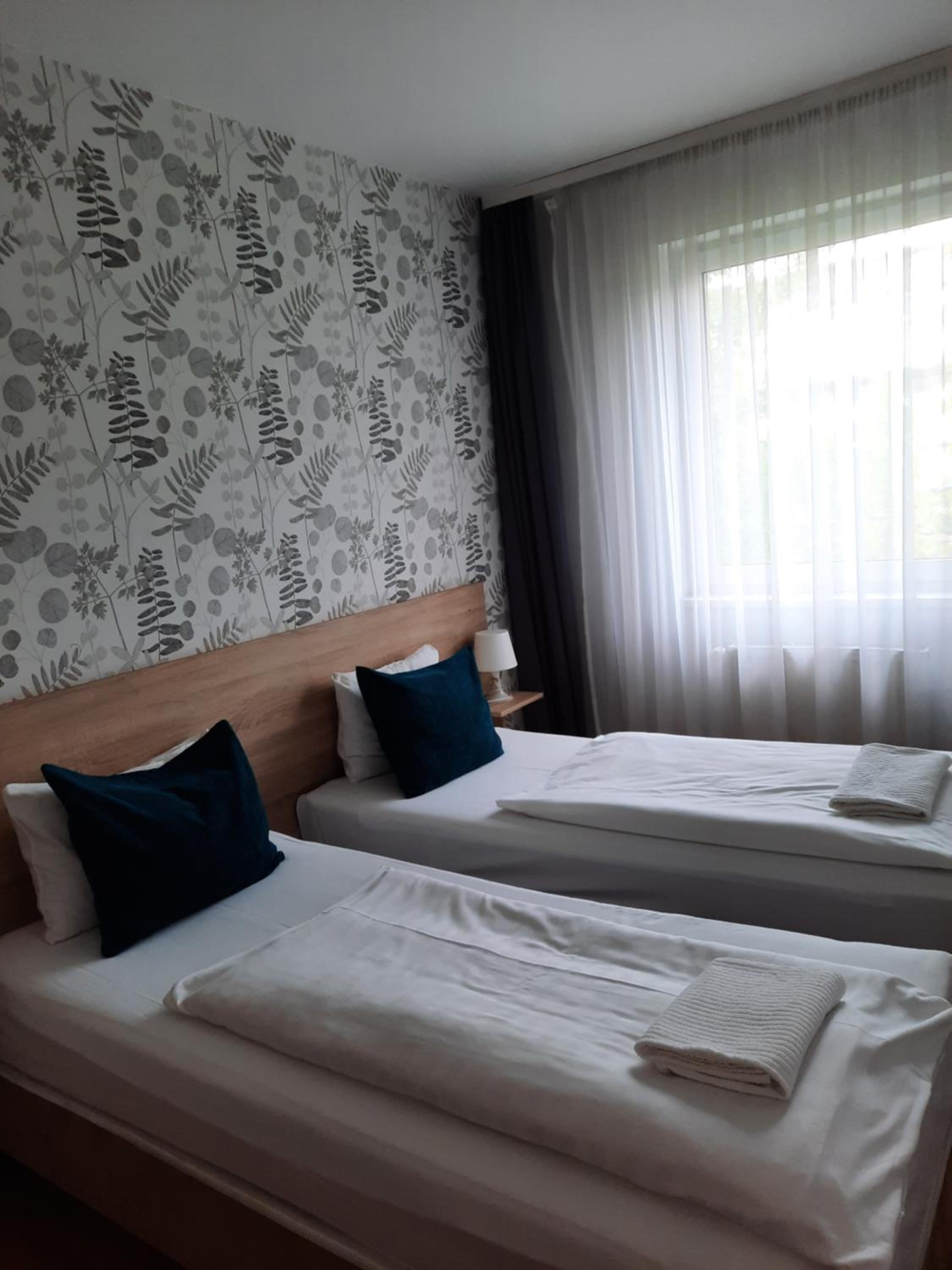 Deluxe Studio (3 Adults) - Photo 28