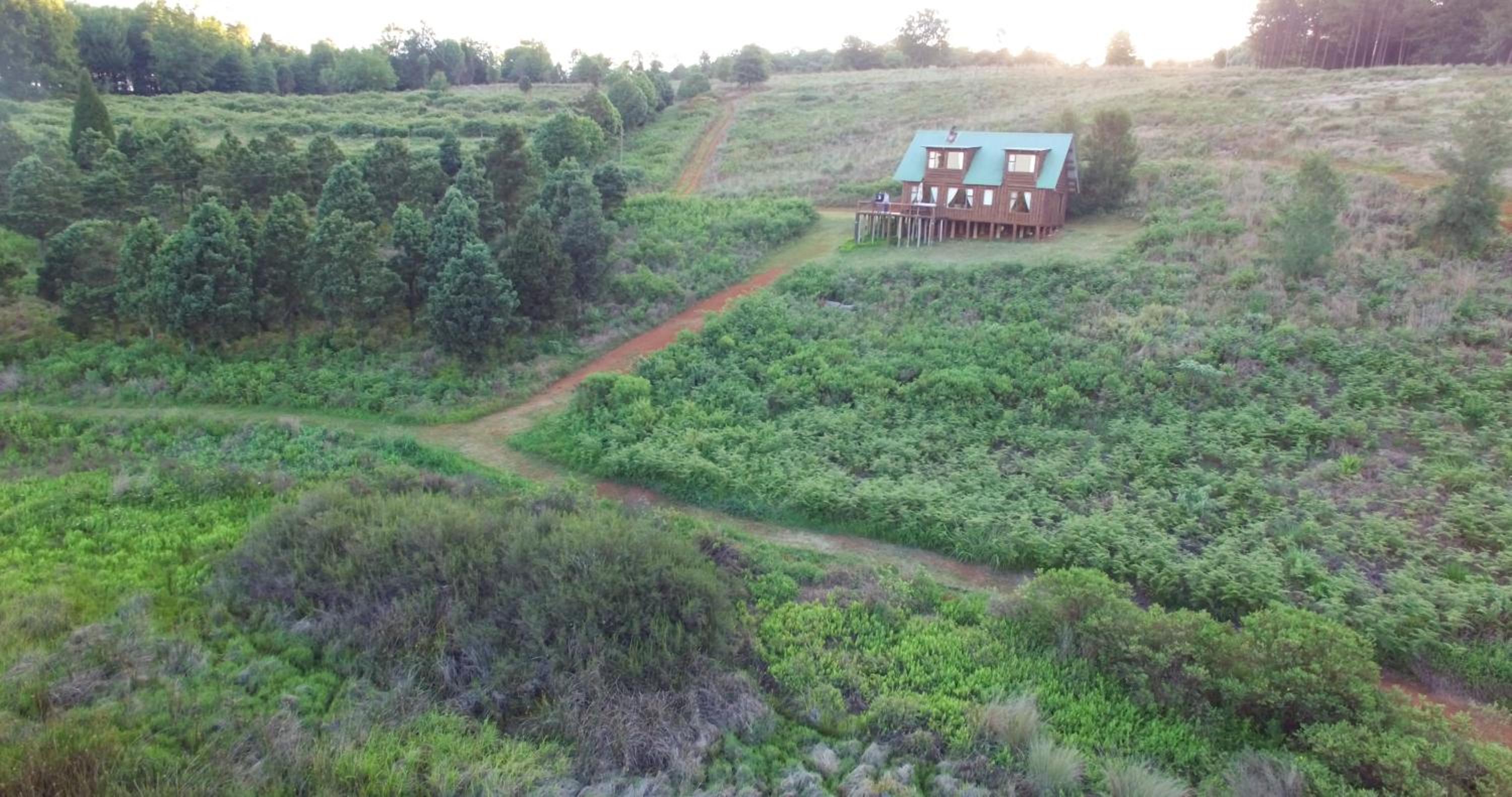 Double Story Cabin - Photo 14