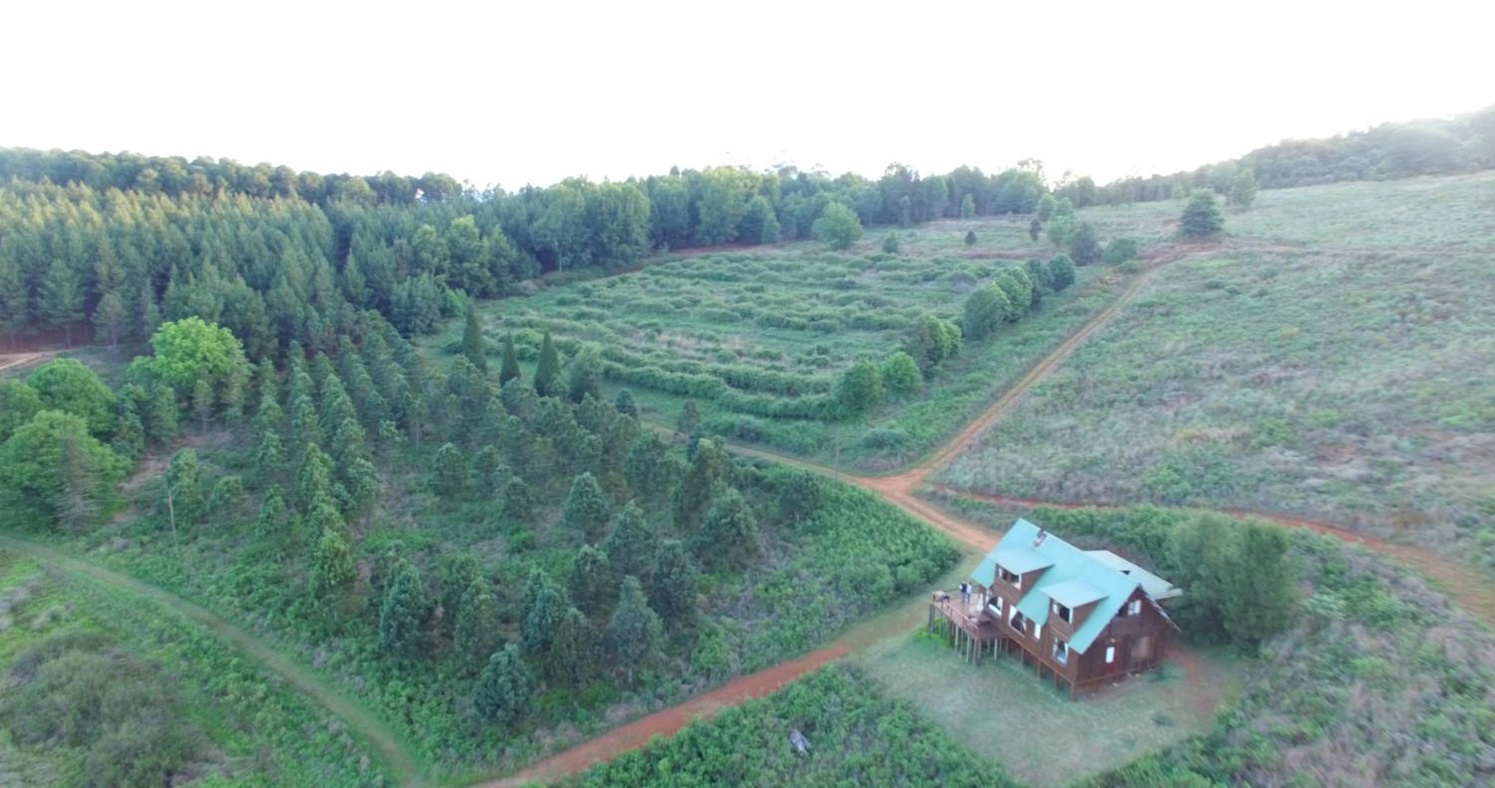 Double Story Cabin - Photo 5