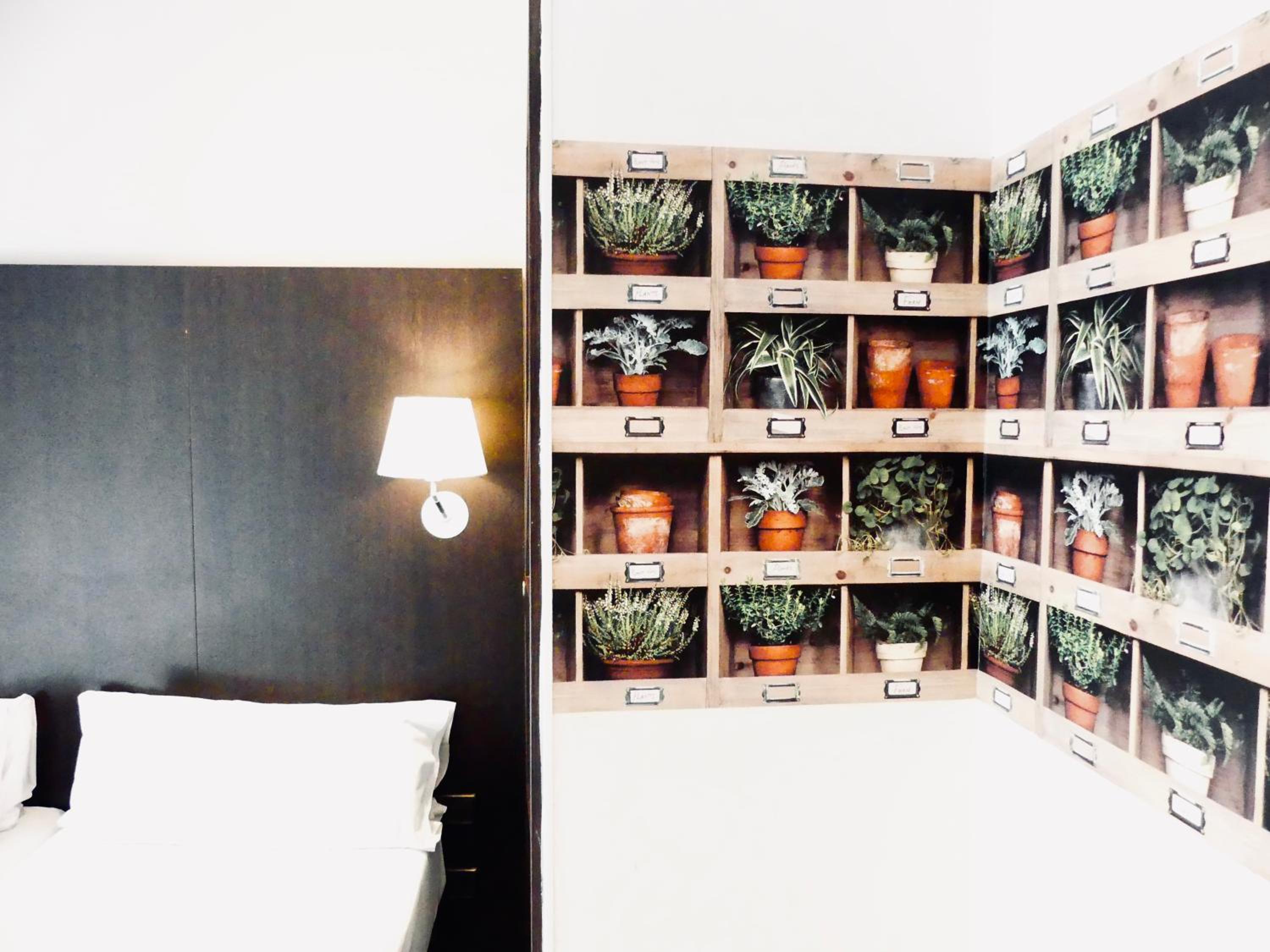 Standard Twin Room photo 2