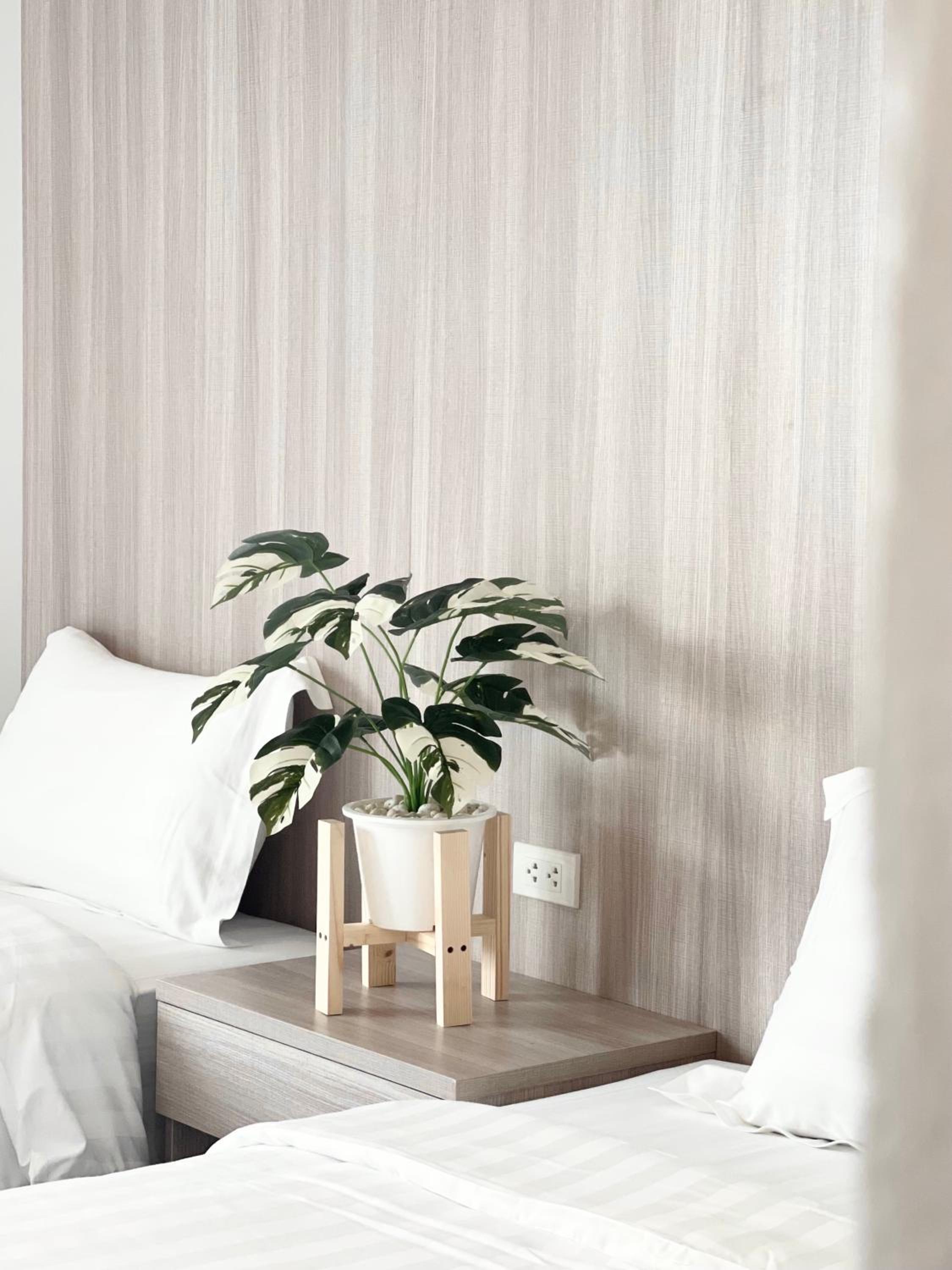 King Room - Photo 1