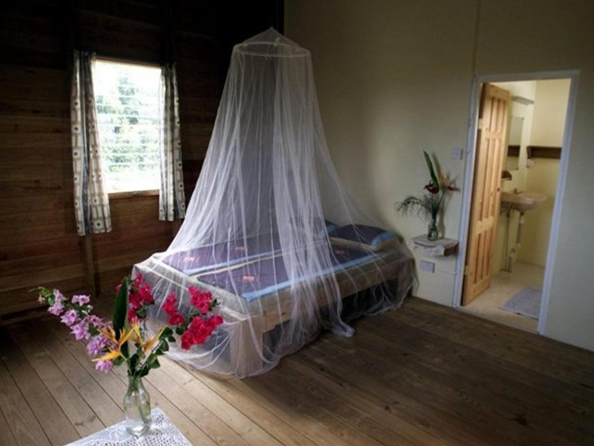 Double or Twin Room with Sea View photo 1