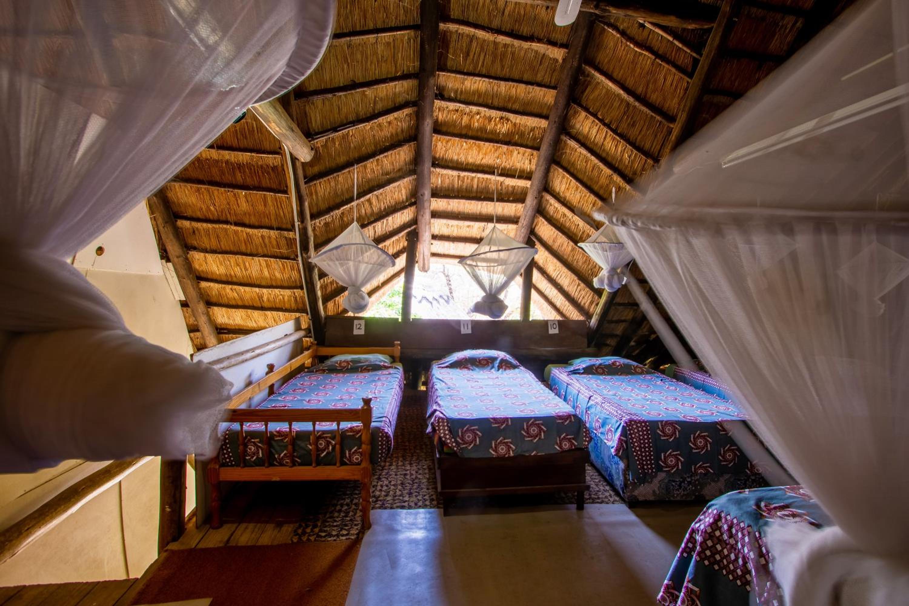 Bunk Bed in Mixed Dormitory Room photo 3