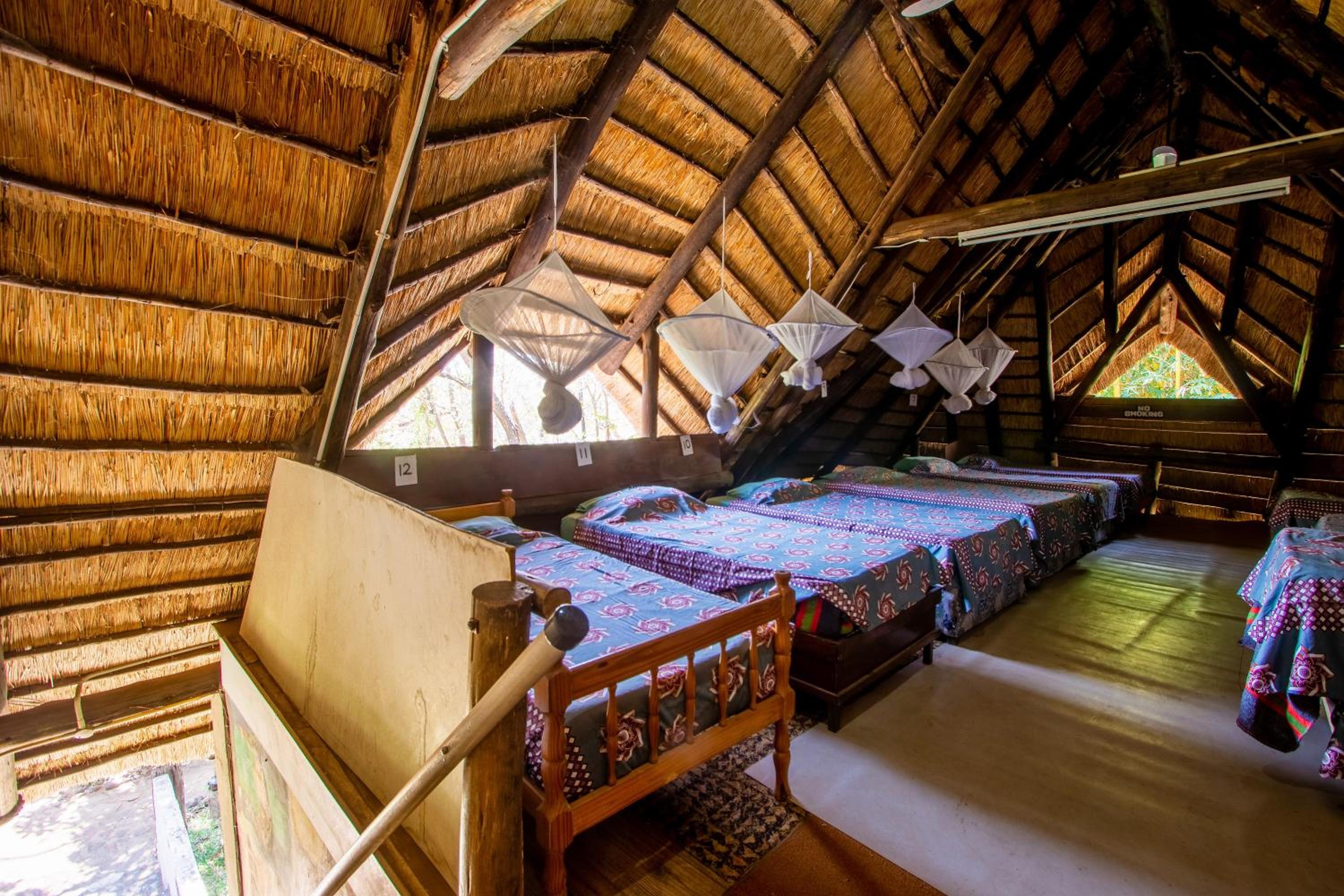 Single Bed in Mixed Dormitory Room photo 2