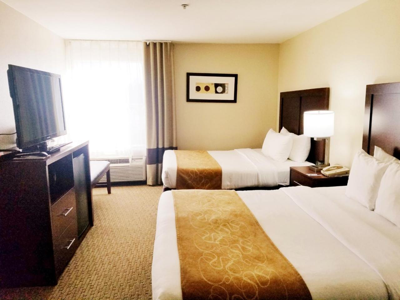 Queen Suite with Two Queen Beds - Non-Smoking - Photo 5