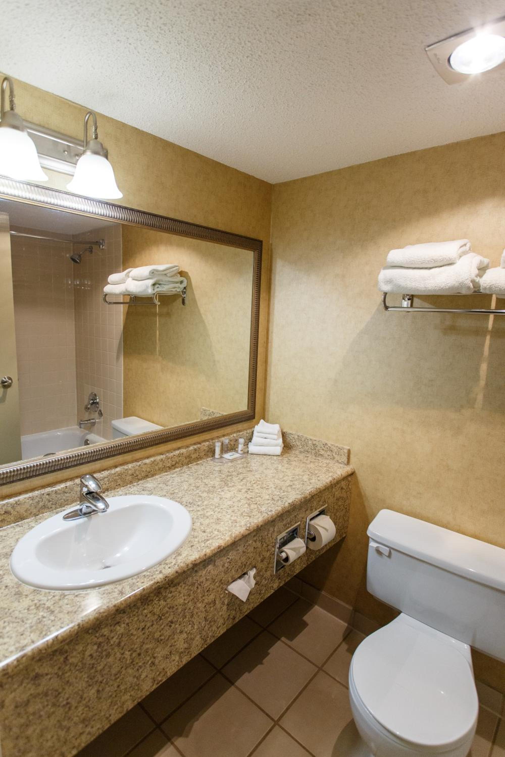 Large Double or Twin Room photo 3