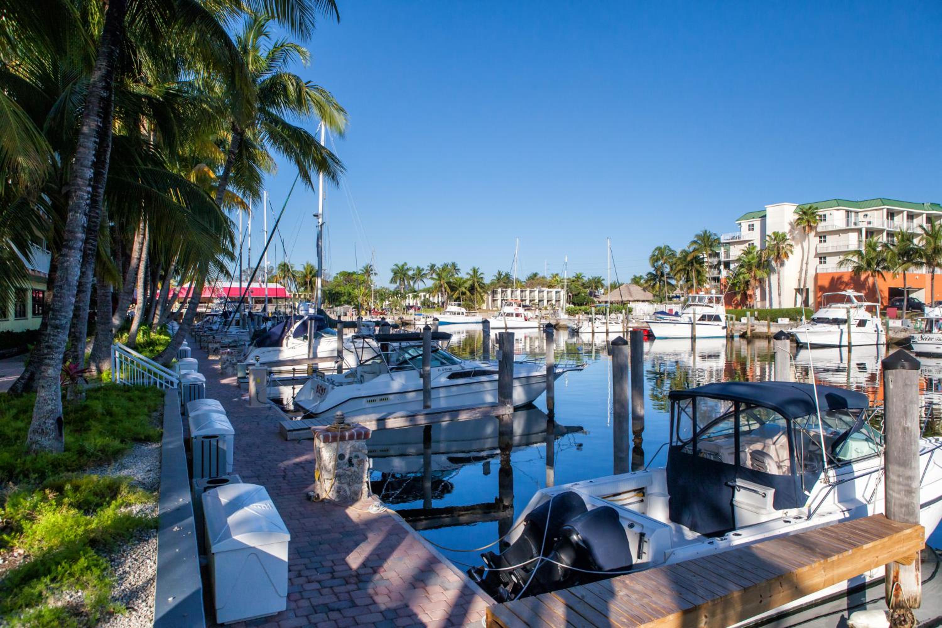 Marina View King  - Photo 3
