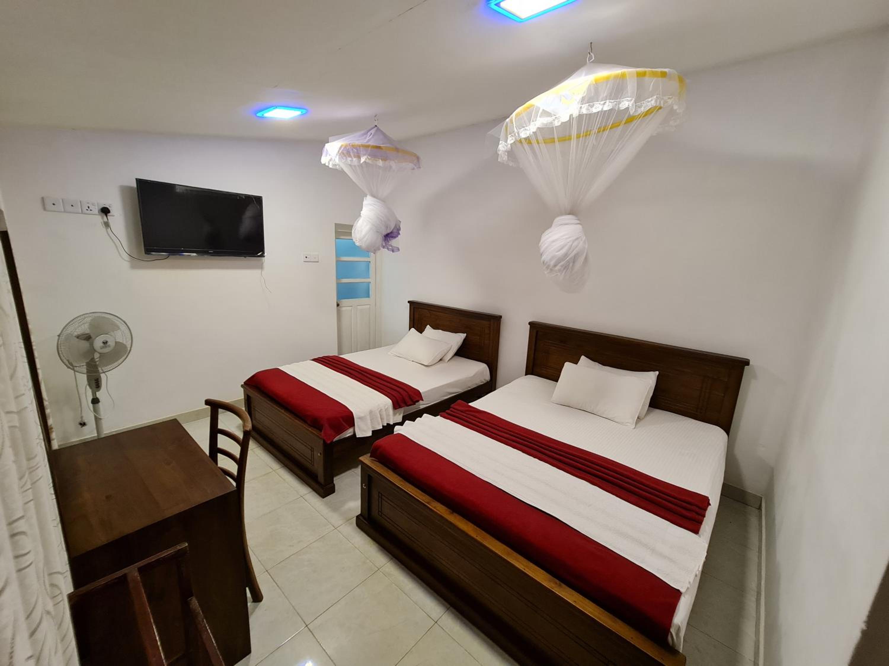Twin Room photo 2