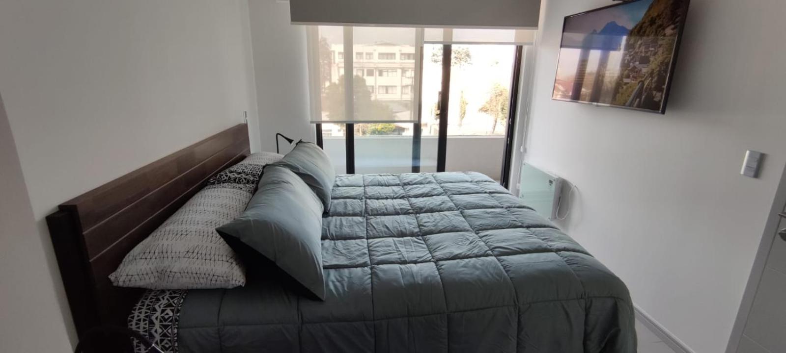 One-Bedroom Apartment photo 3