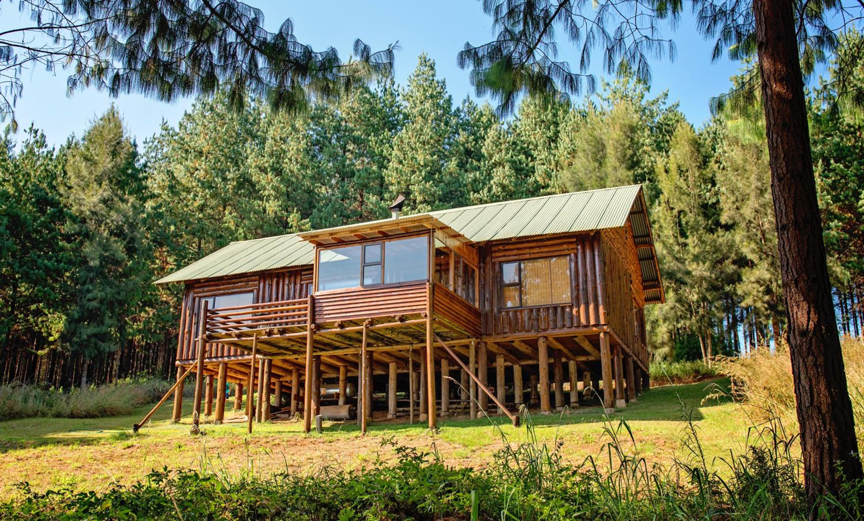 Single Story Cabin - Photo 9