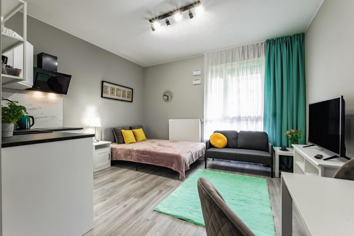Studio Apartment photo 1