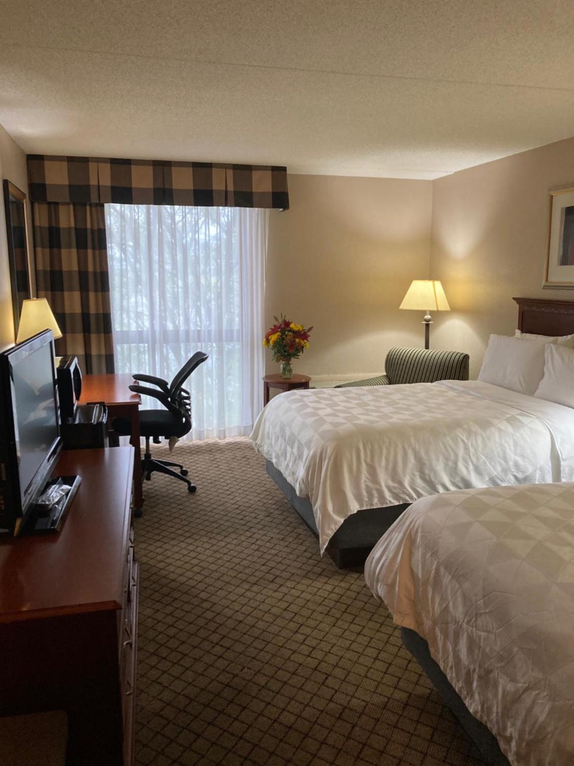 Standard Double Room with Two Double Beds - Photo 2