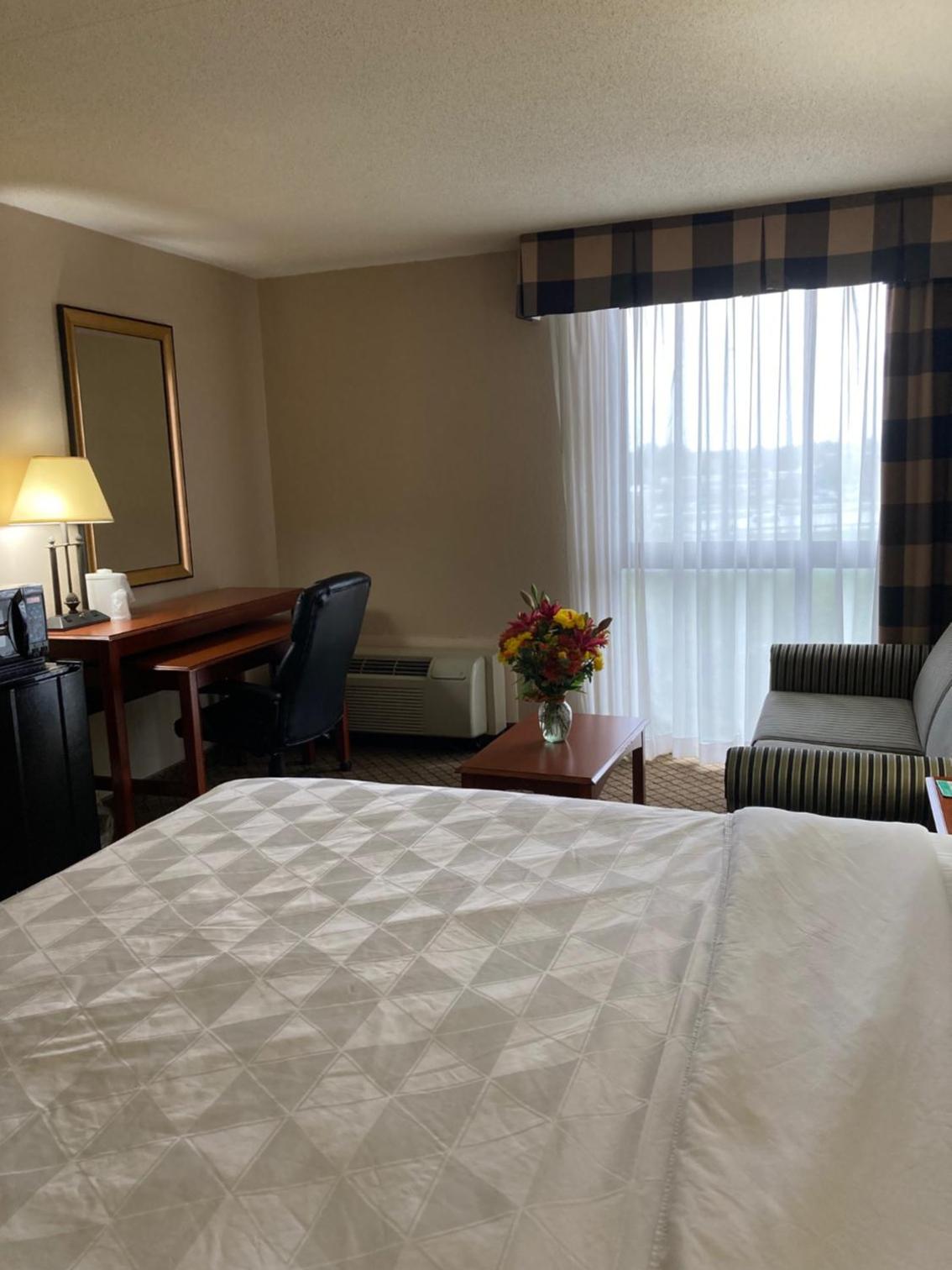 Standard King Room with Sofa Bed - Non-Smoking - Photo 3