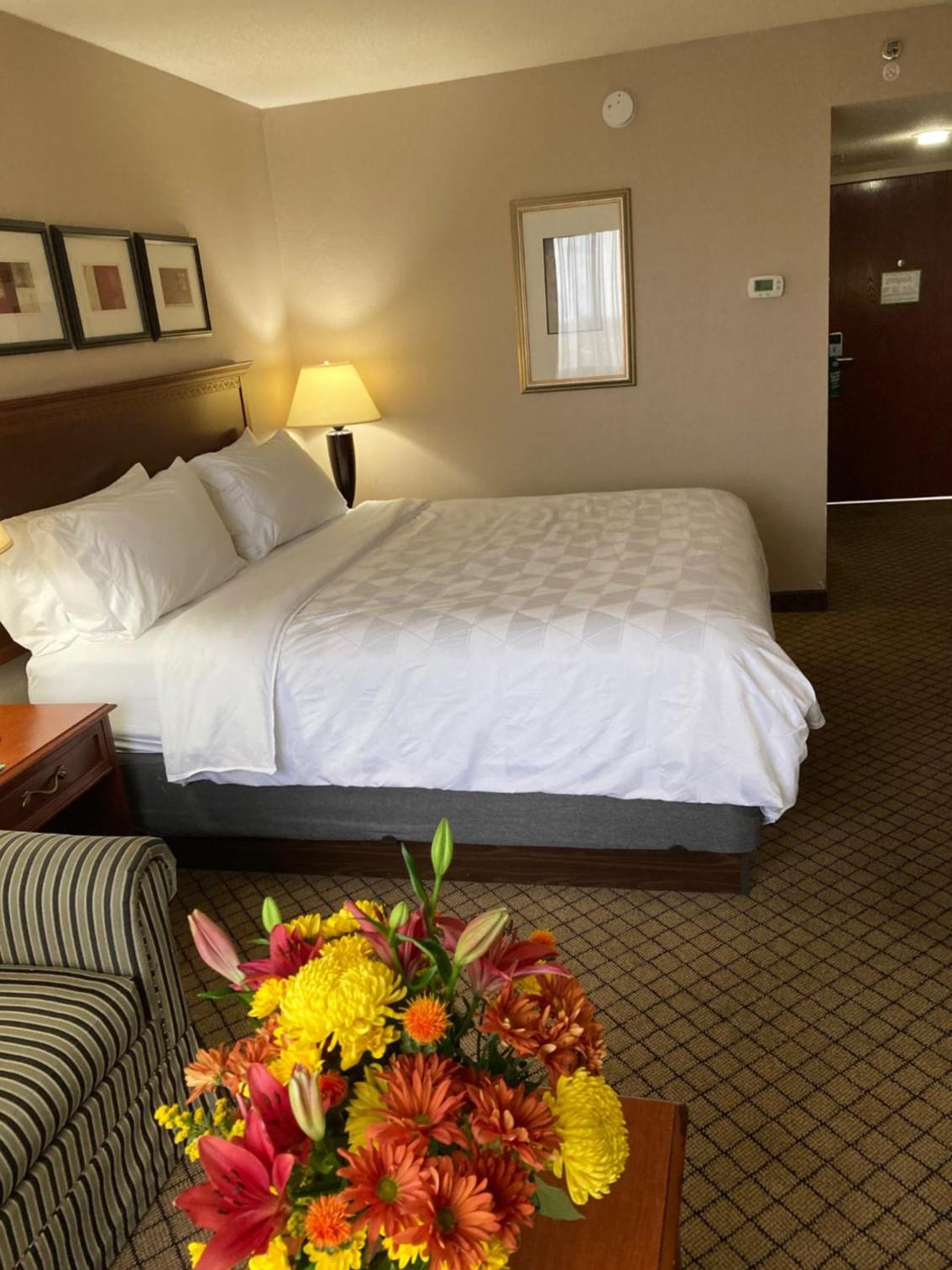 Standard King Room with Sofa Bed - Non-Smoking - Photo 4