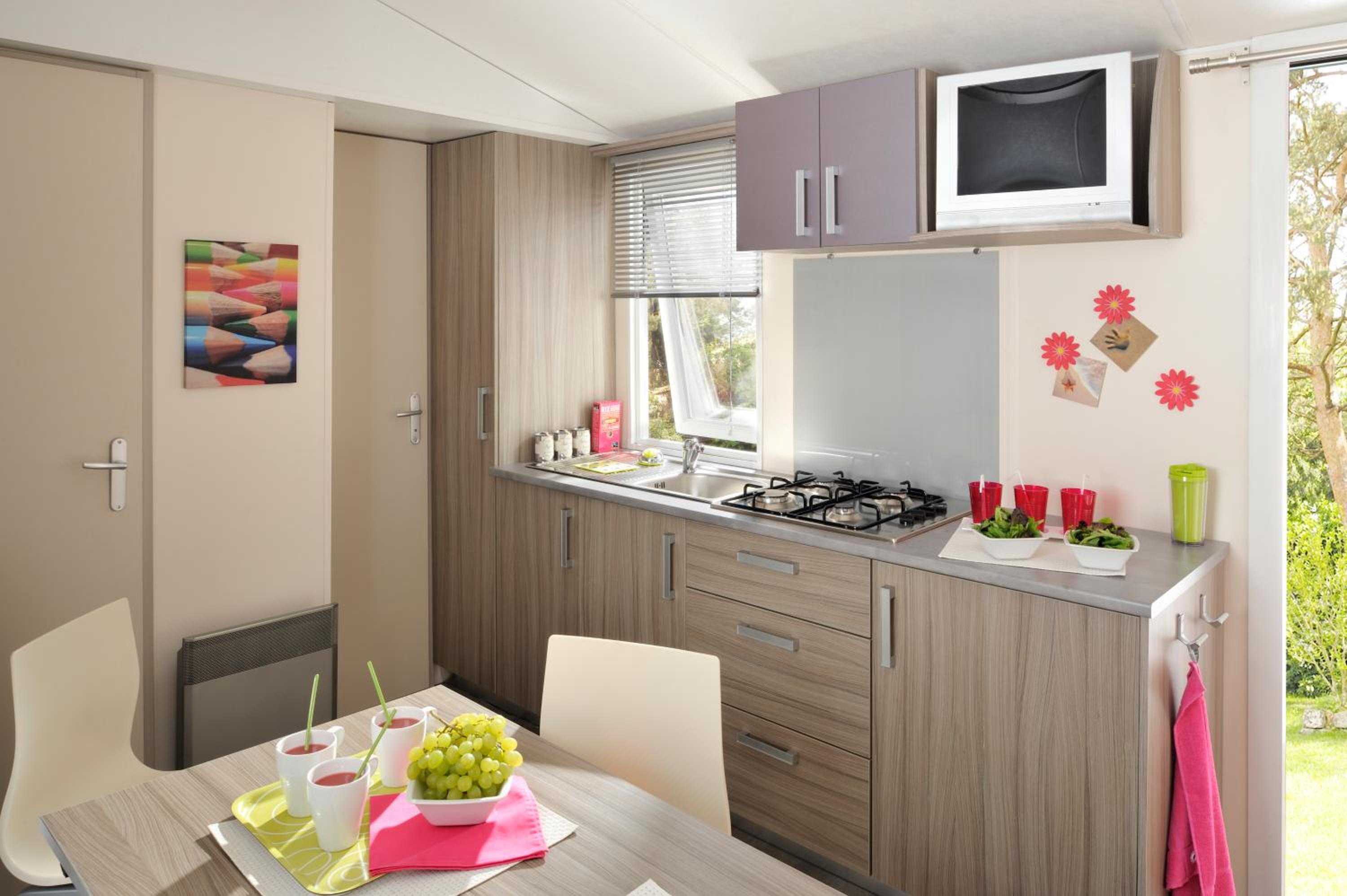 Mobile Home photo 3