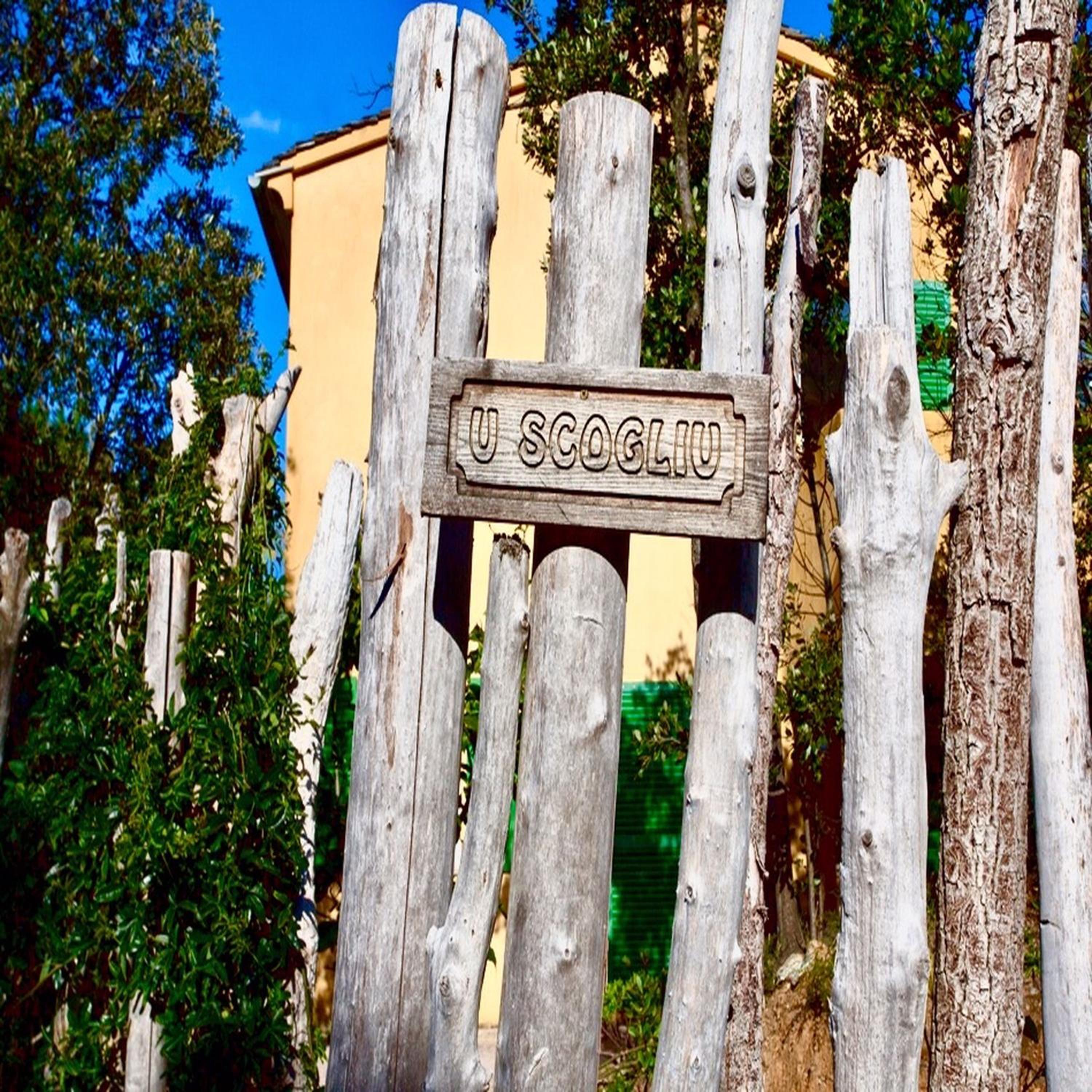 Les Gîtes du Cap Corse, 사진 19