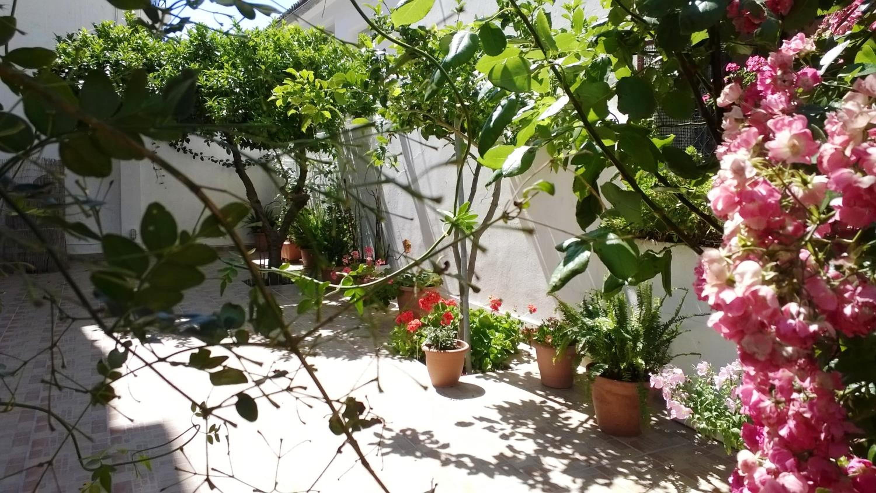  Studio with Garden View (2 Adults) photo 2