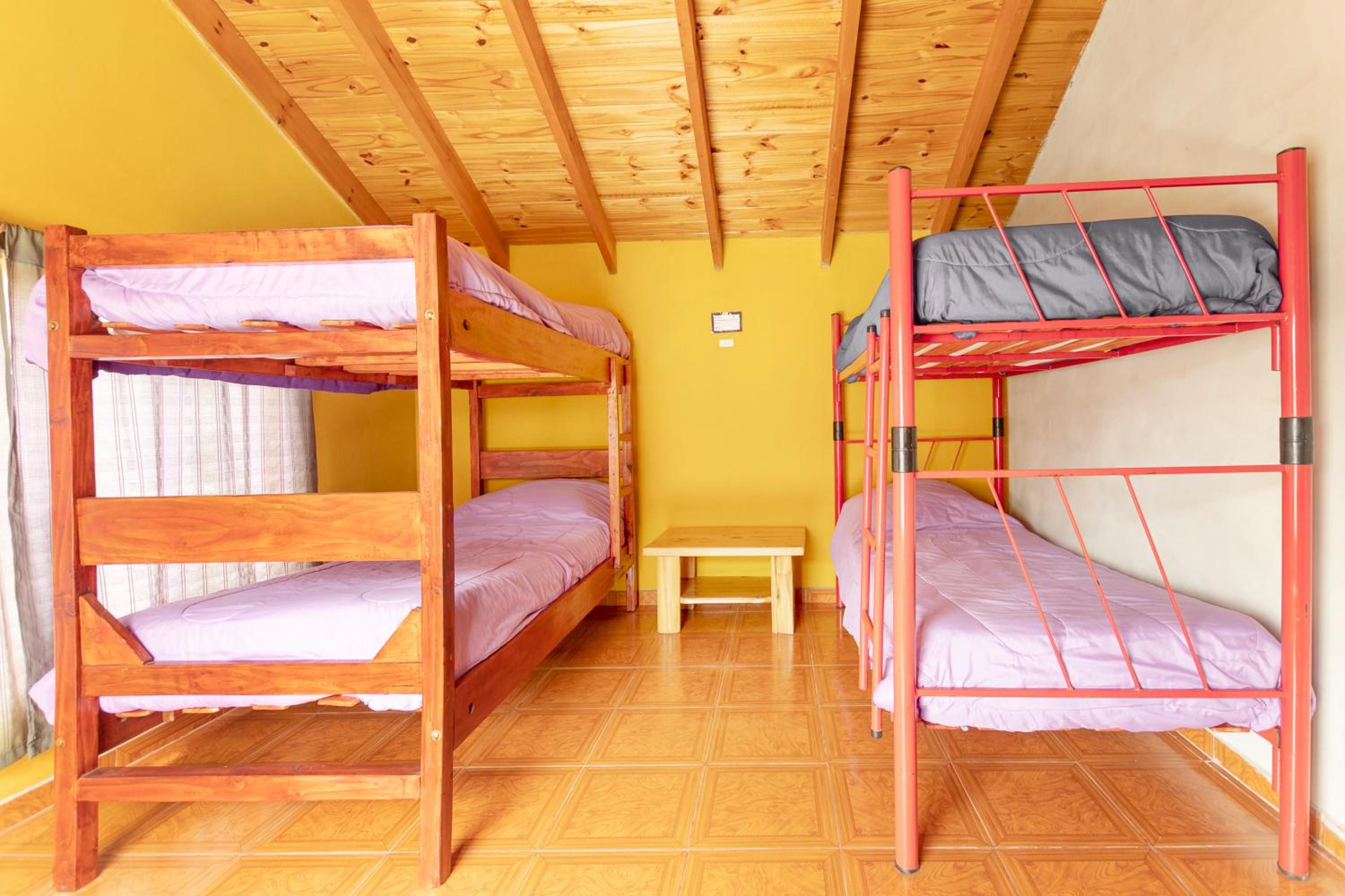 Bed in 4-Bed Mixed Dormitory Room photo 1