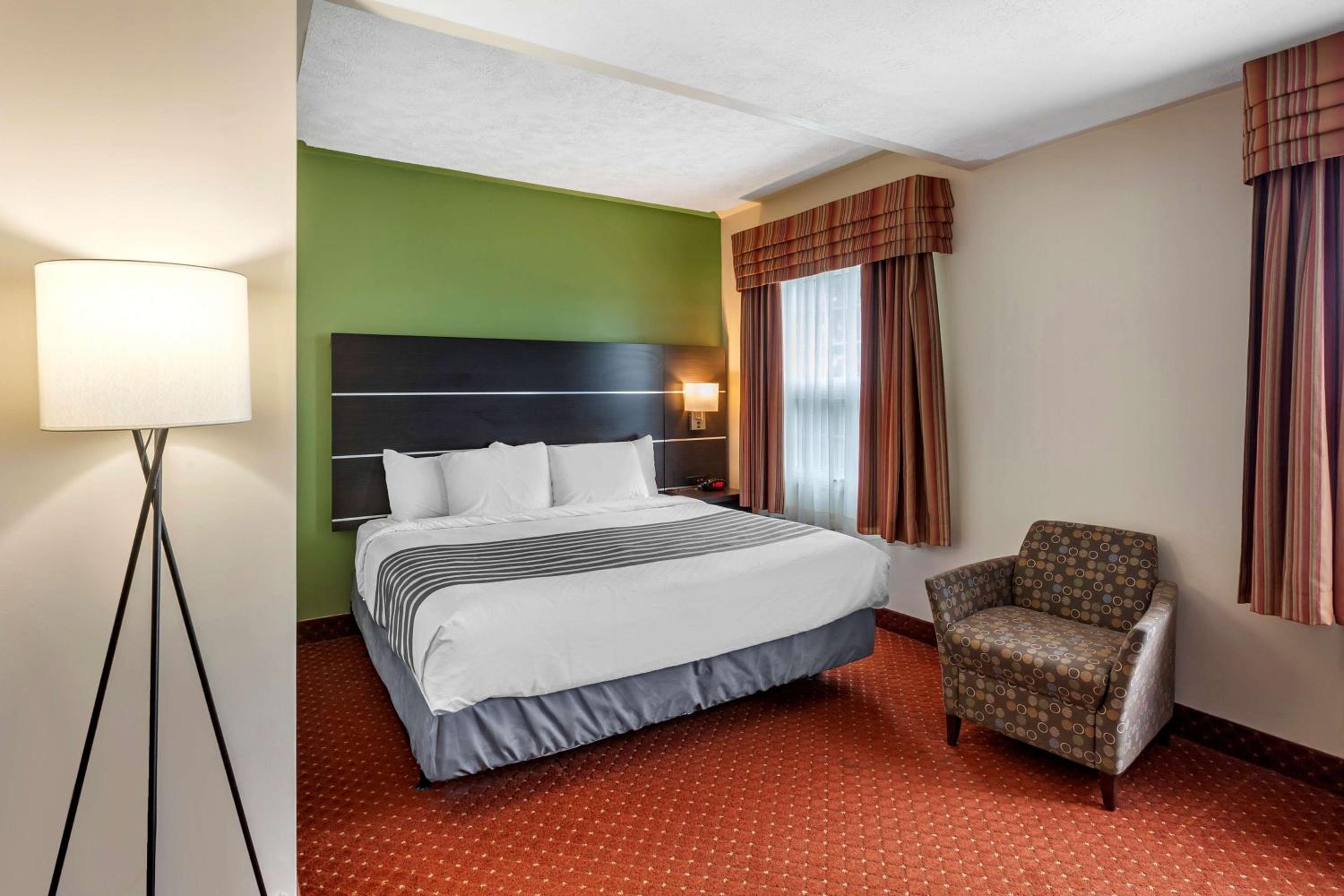 King Room photo 1