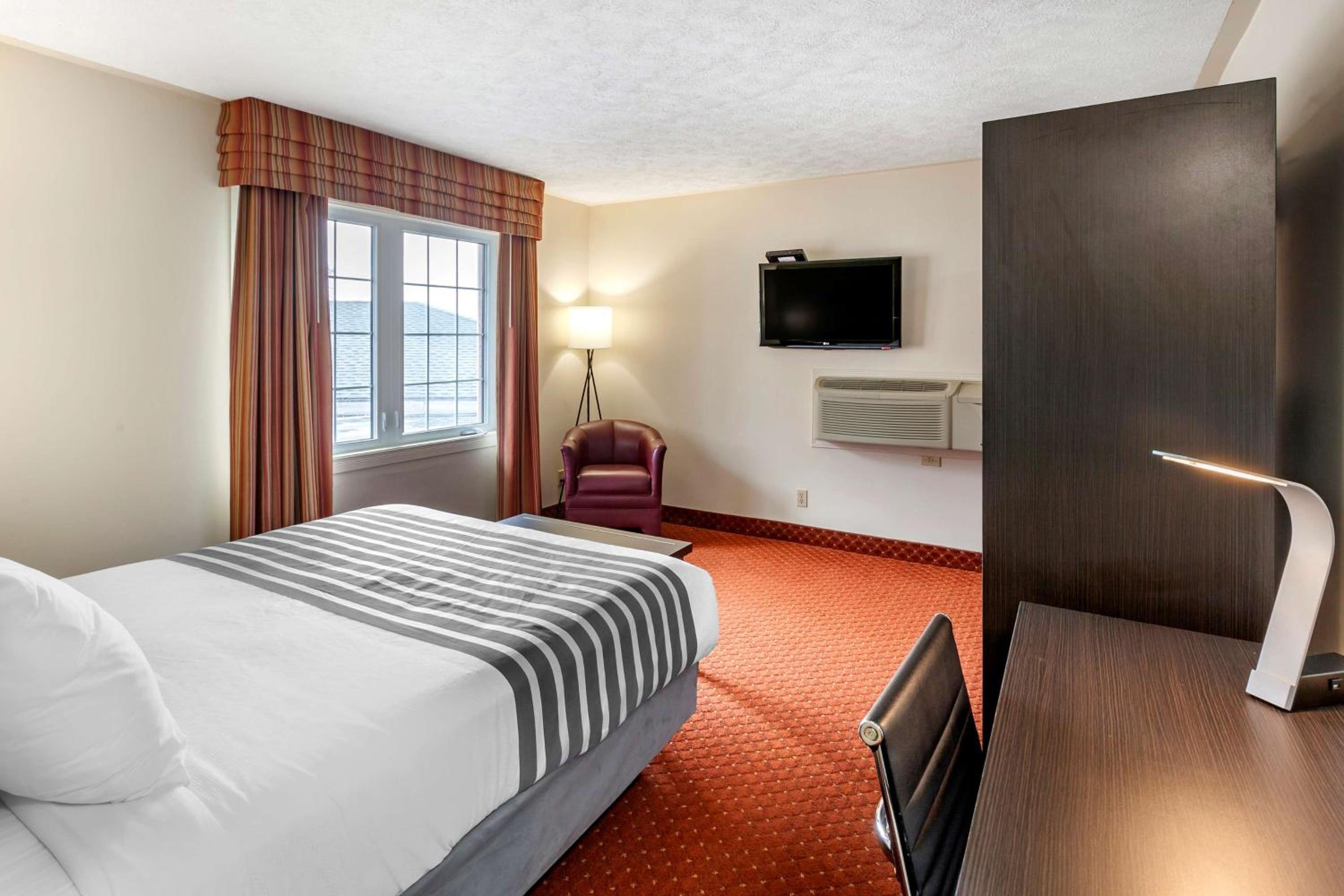King Room photo 3