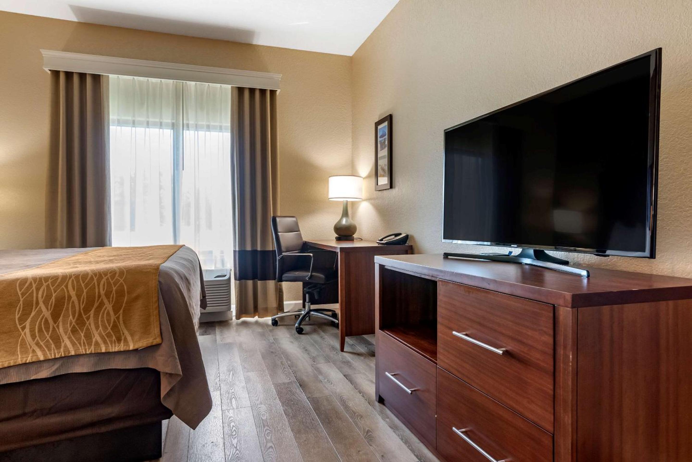 King Room - Non-Smoking - Photo 3