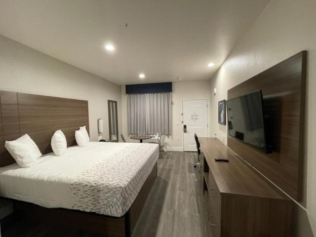 King Room photo 1
