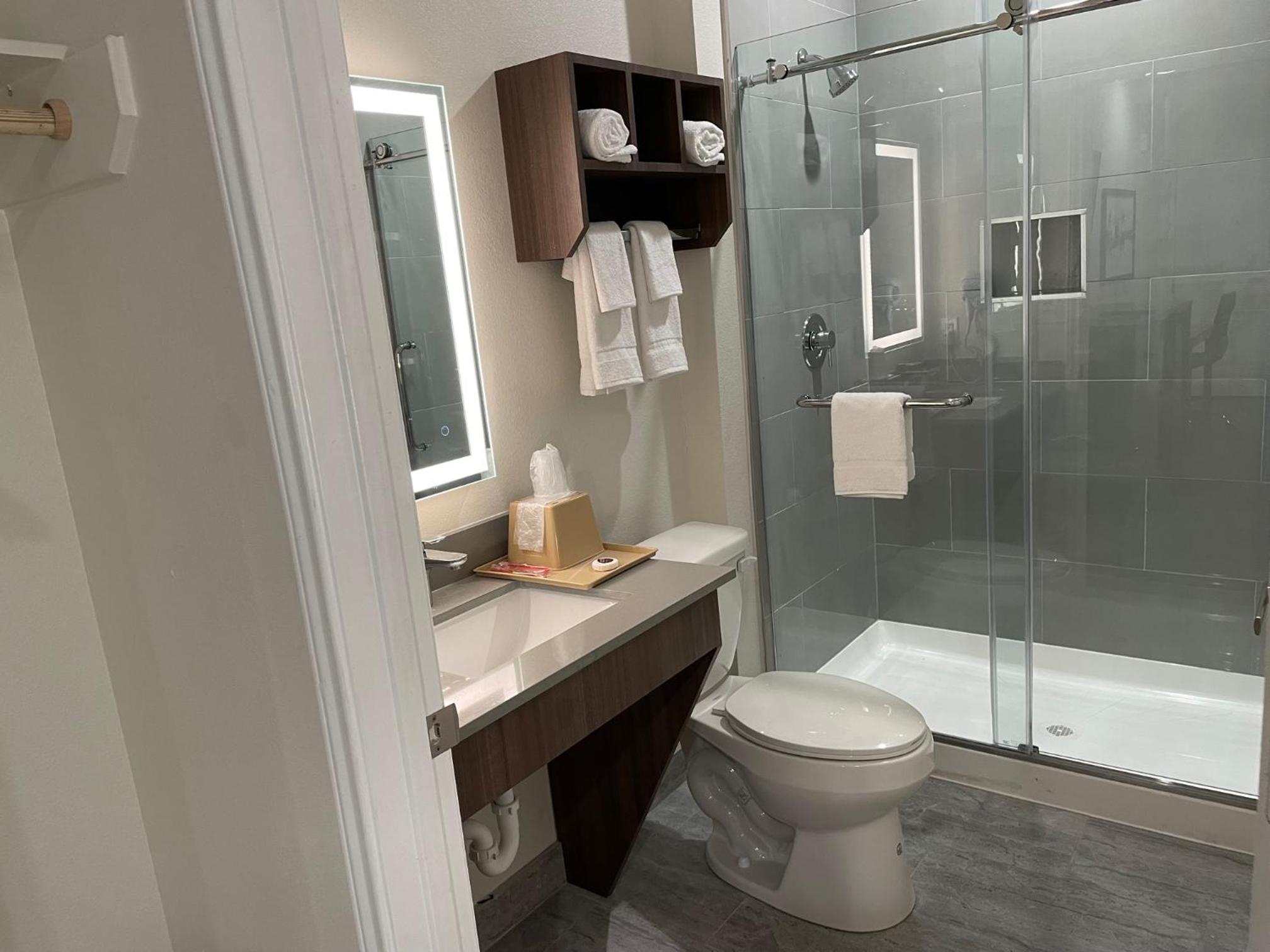 Deluxe Suite with Spa Bath photo 2