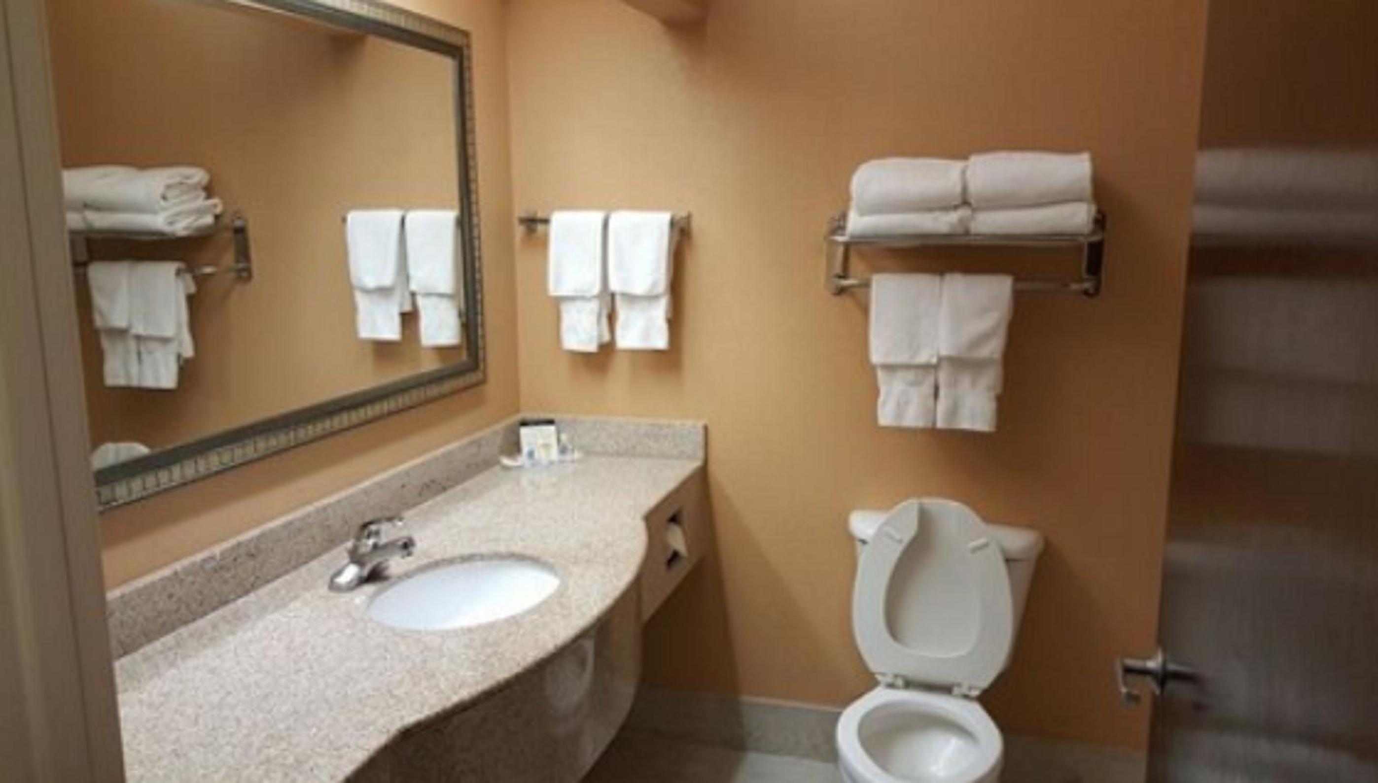 King Suite - Non-Smoking - Photo 2