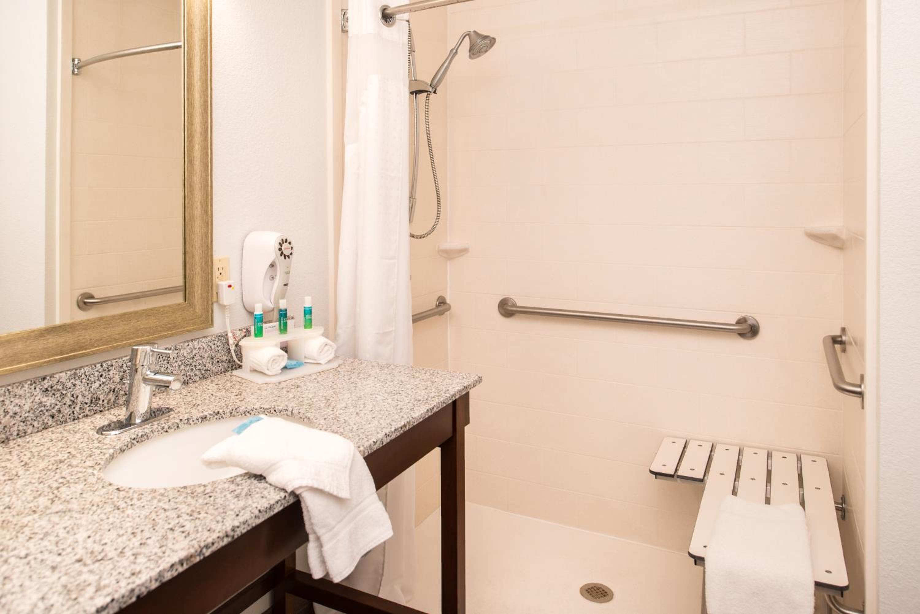 Suite - Mobility Access Roll in Shower/Non-Smoking - Photo 4