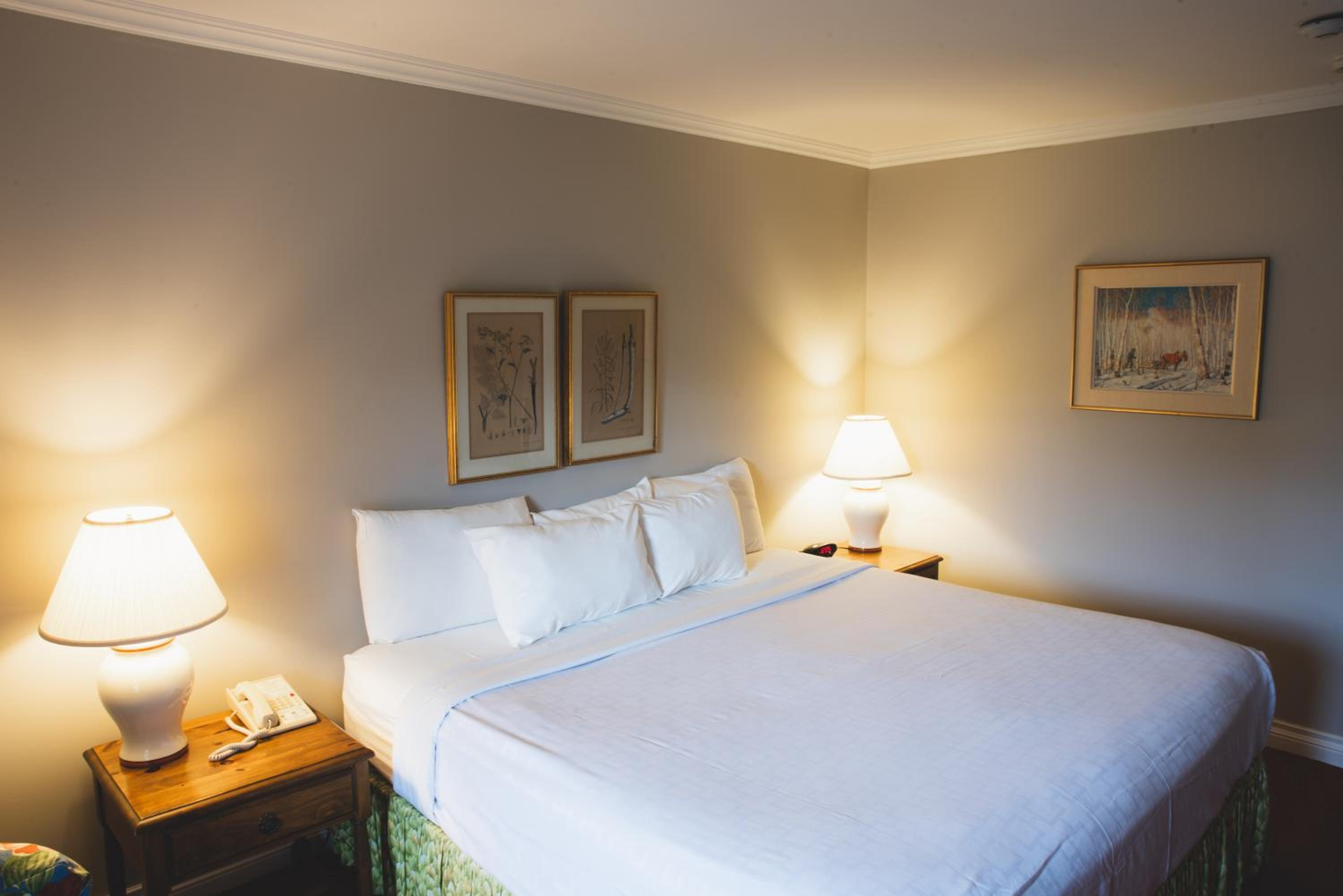 Deluxe Double or Twin Room with Garden View