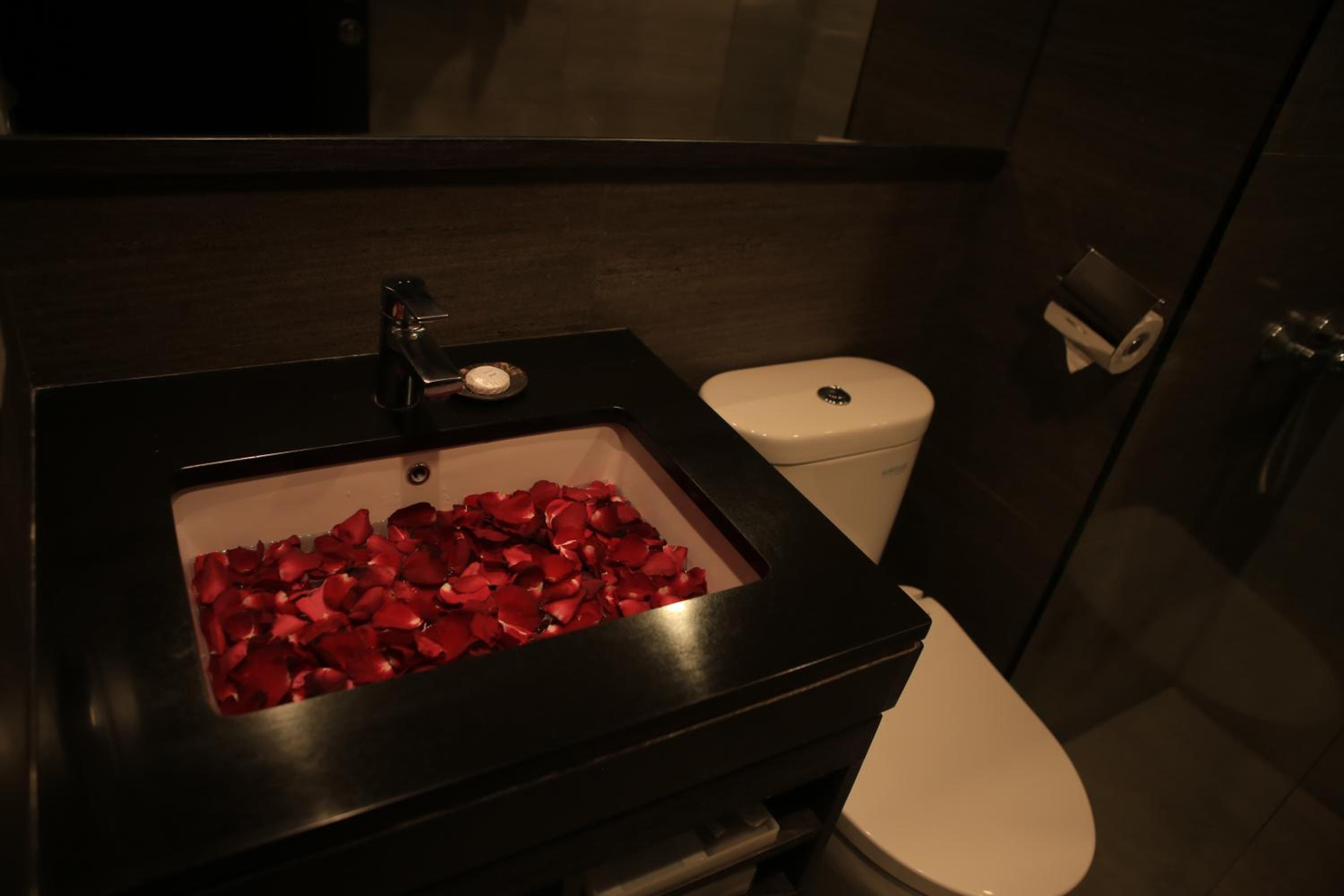 Deluxe Double or Twin Room - Photo 3