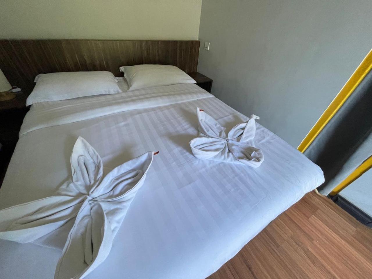 Standard Double Room - Photo 6