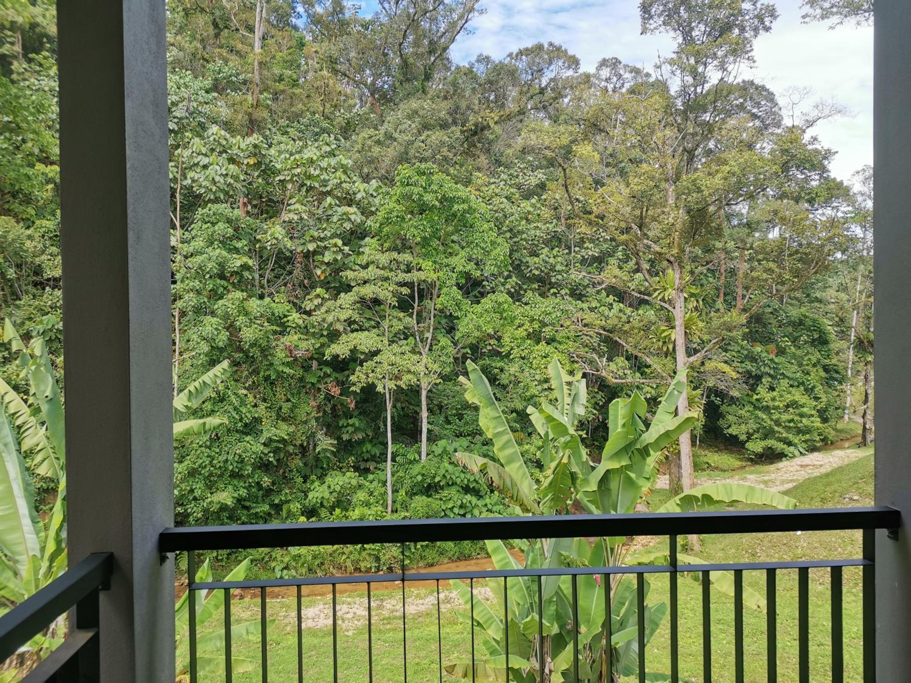 Puupa Semi-D Chalet King + Single
