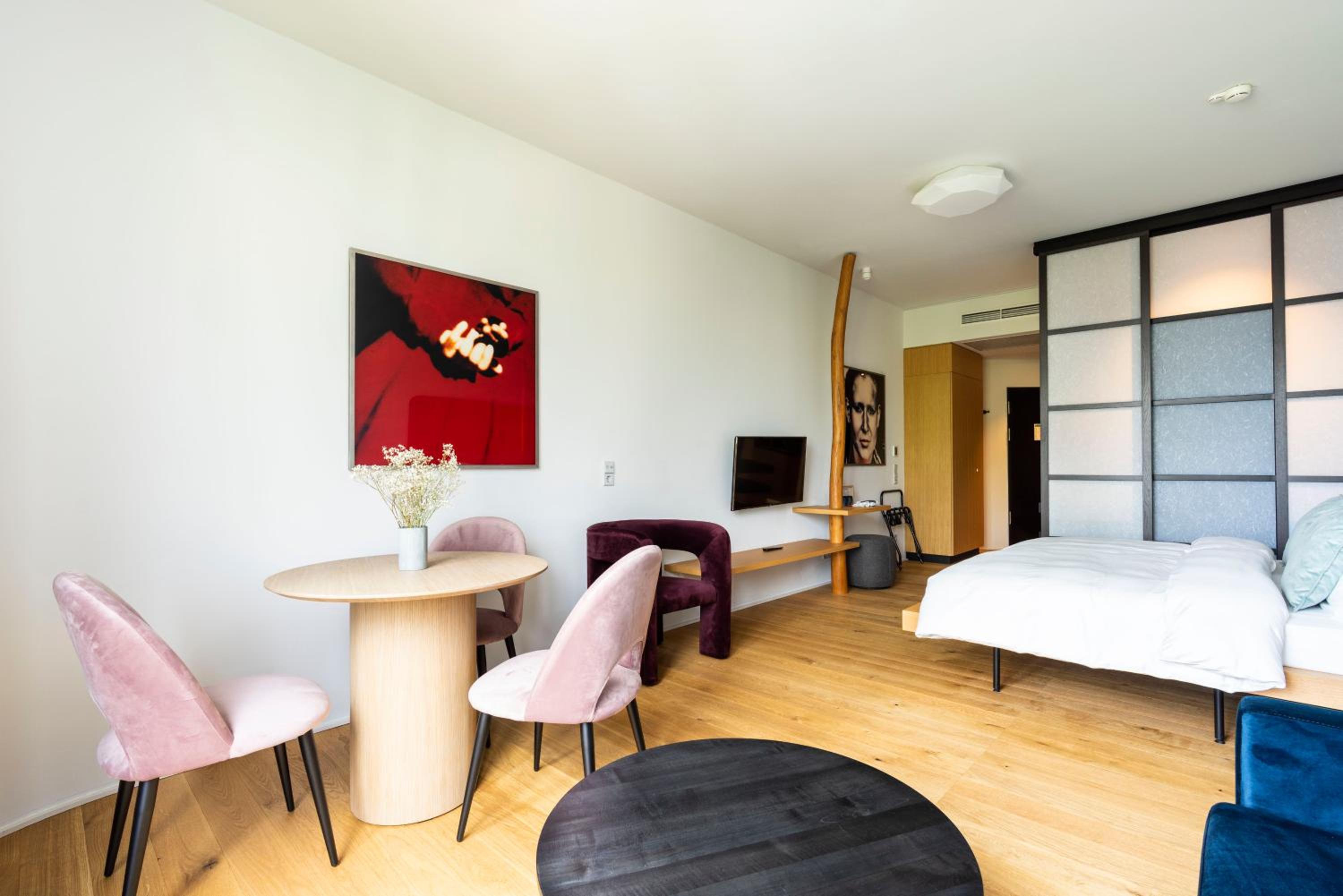Large Studio with Kitchenette and Sofa Bed photo 3