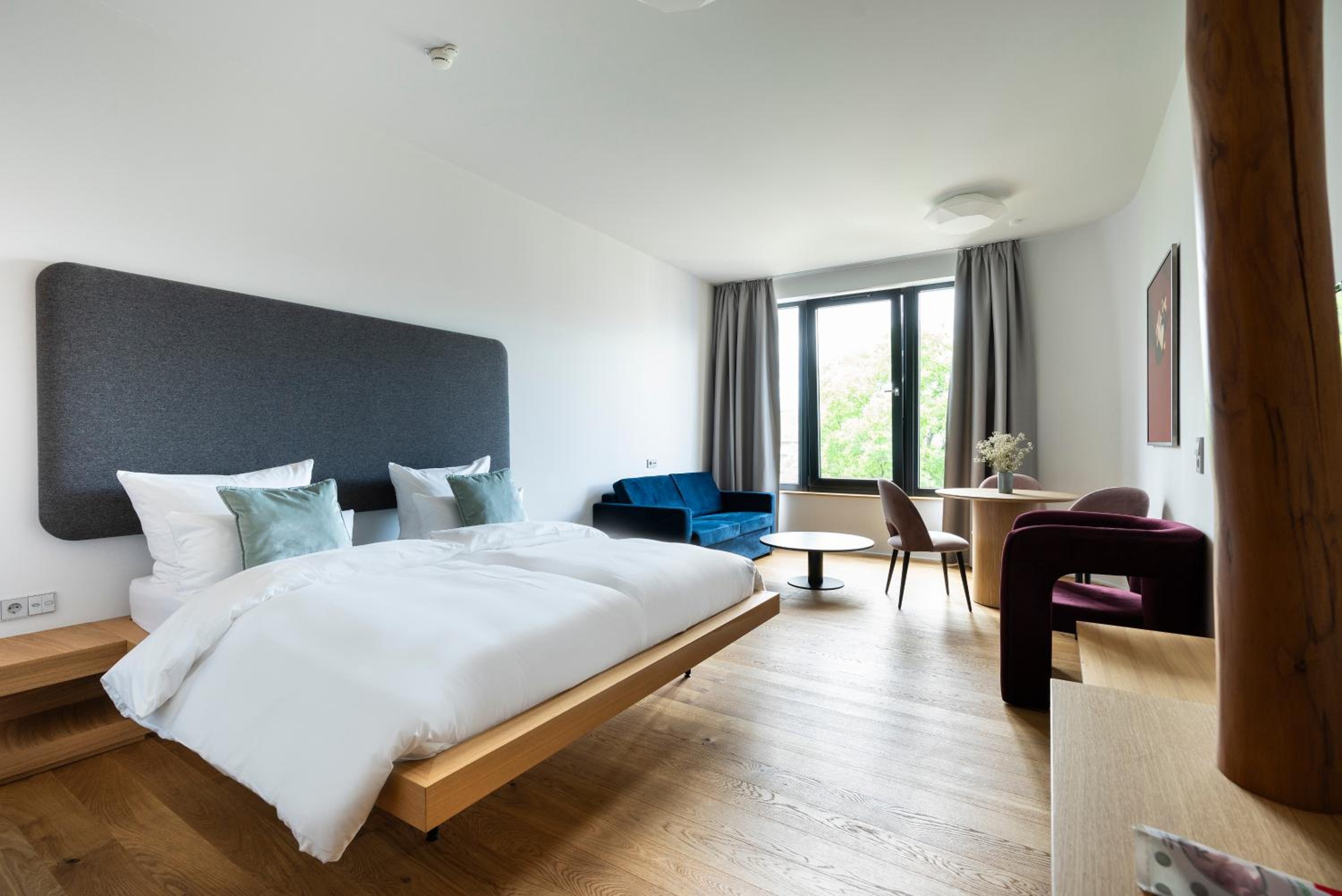 Large Studio with Kitchenette and Sofa Bed photo 2