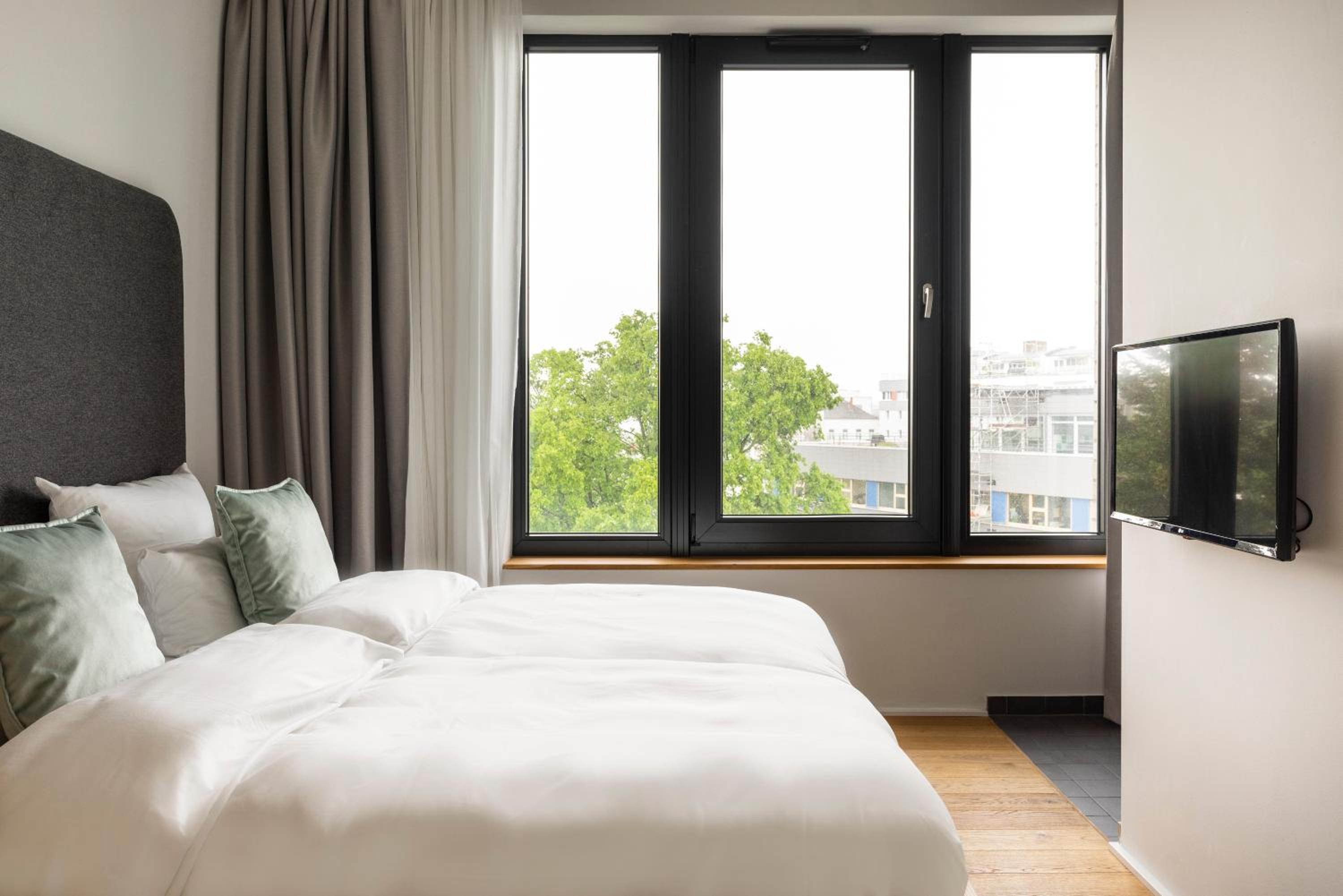Large Studio with Kitchenette, Balcony and Sofa Bed photo 3