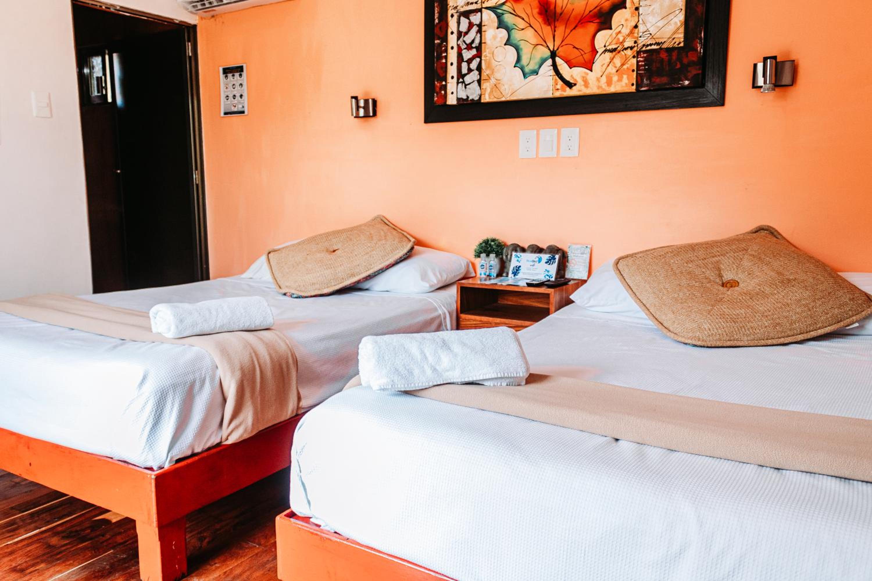 Deluxe Double or Twin Room - Photo 1