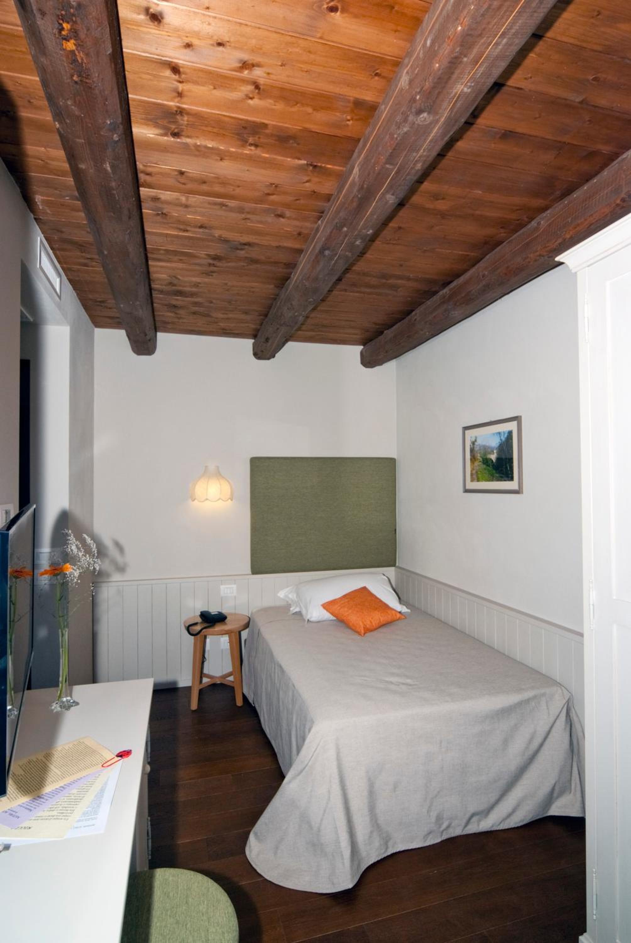 Single Room with Mountain View