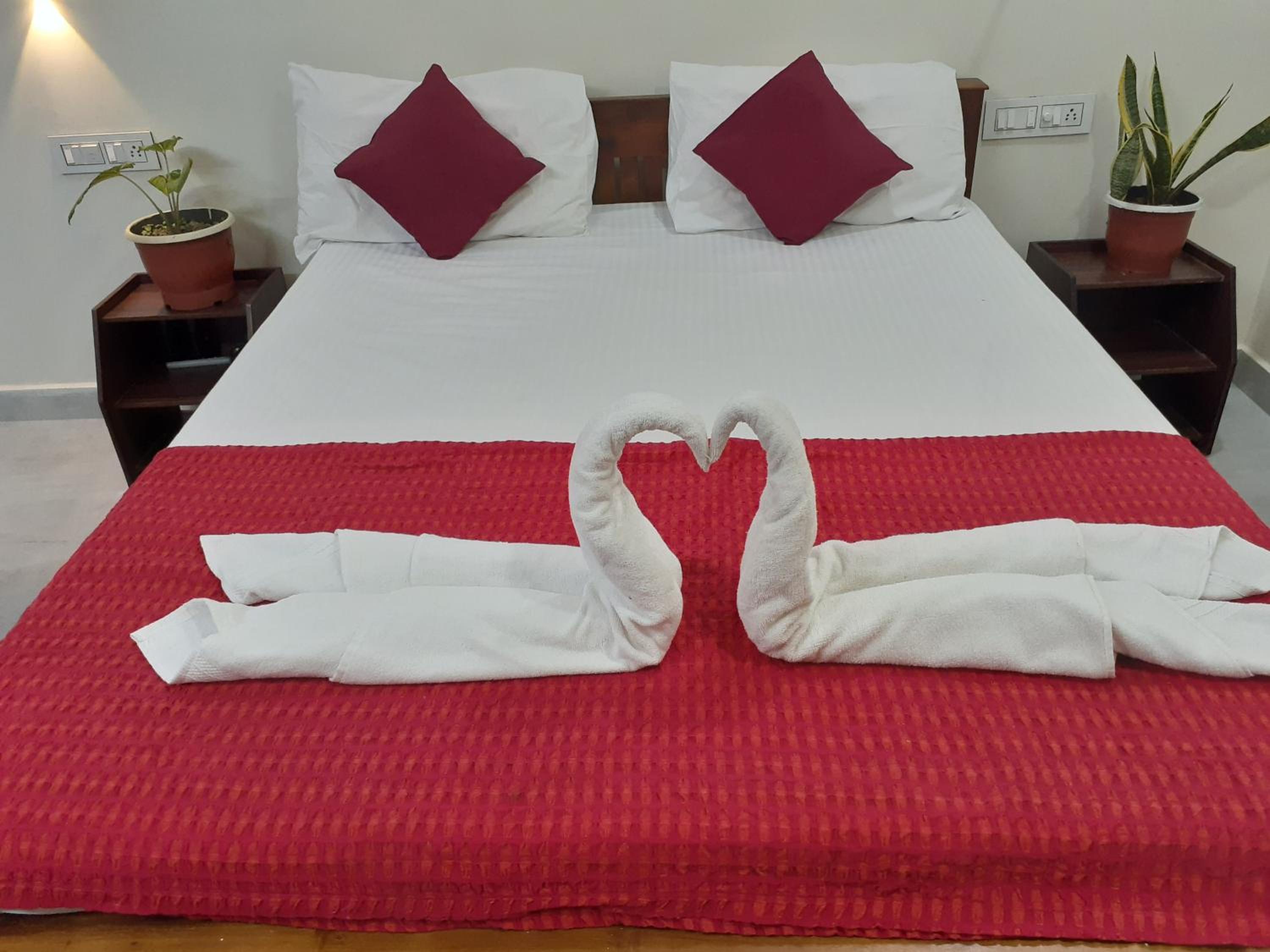 Standard Double Room with Fan photo 2