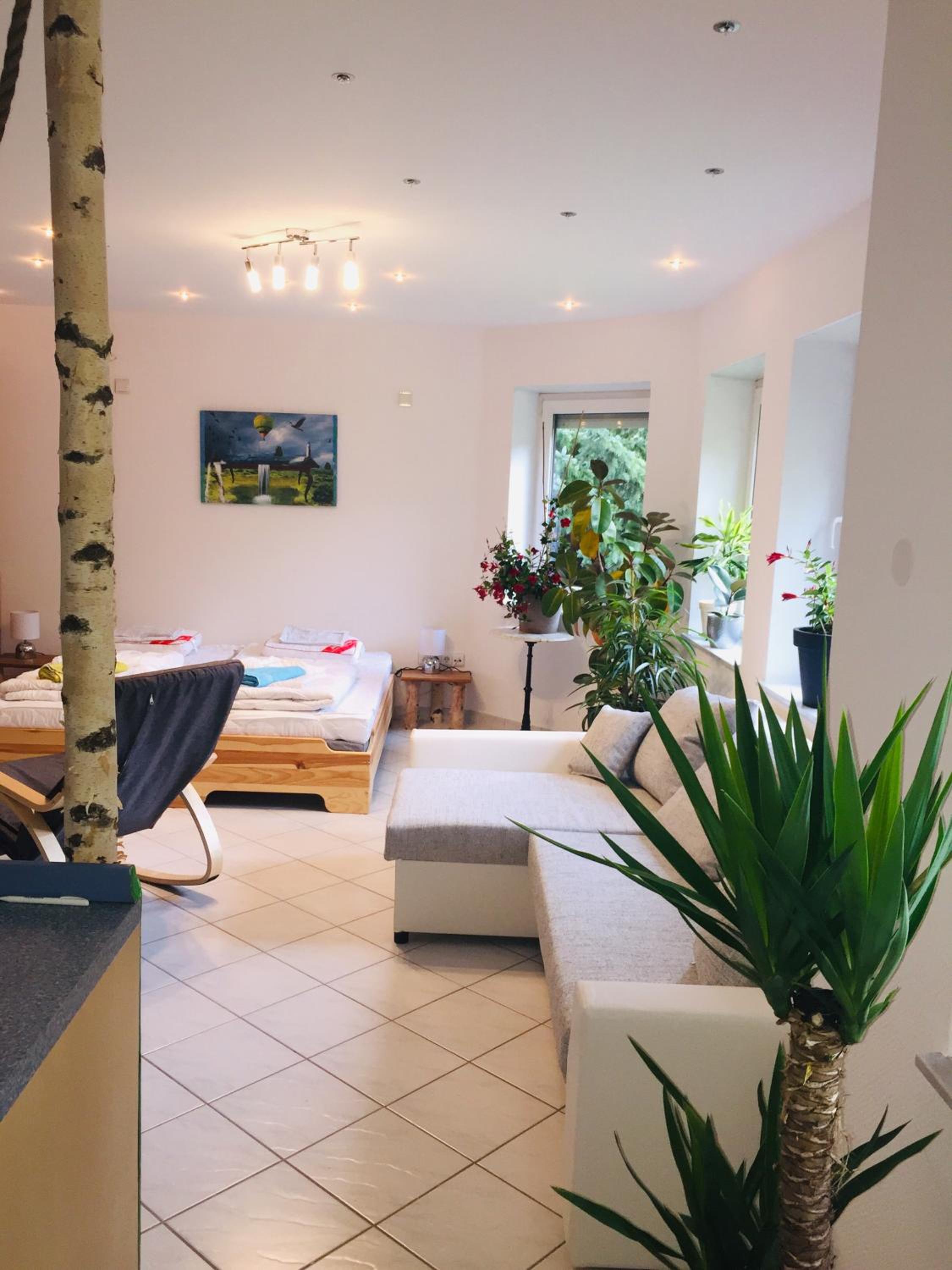 Apartment with Terrace photo 1