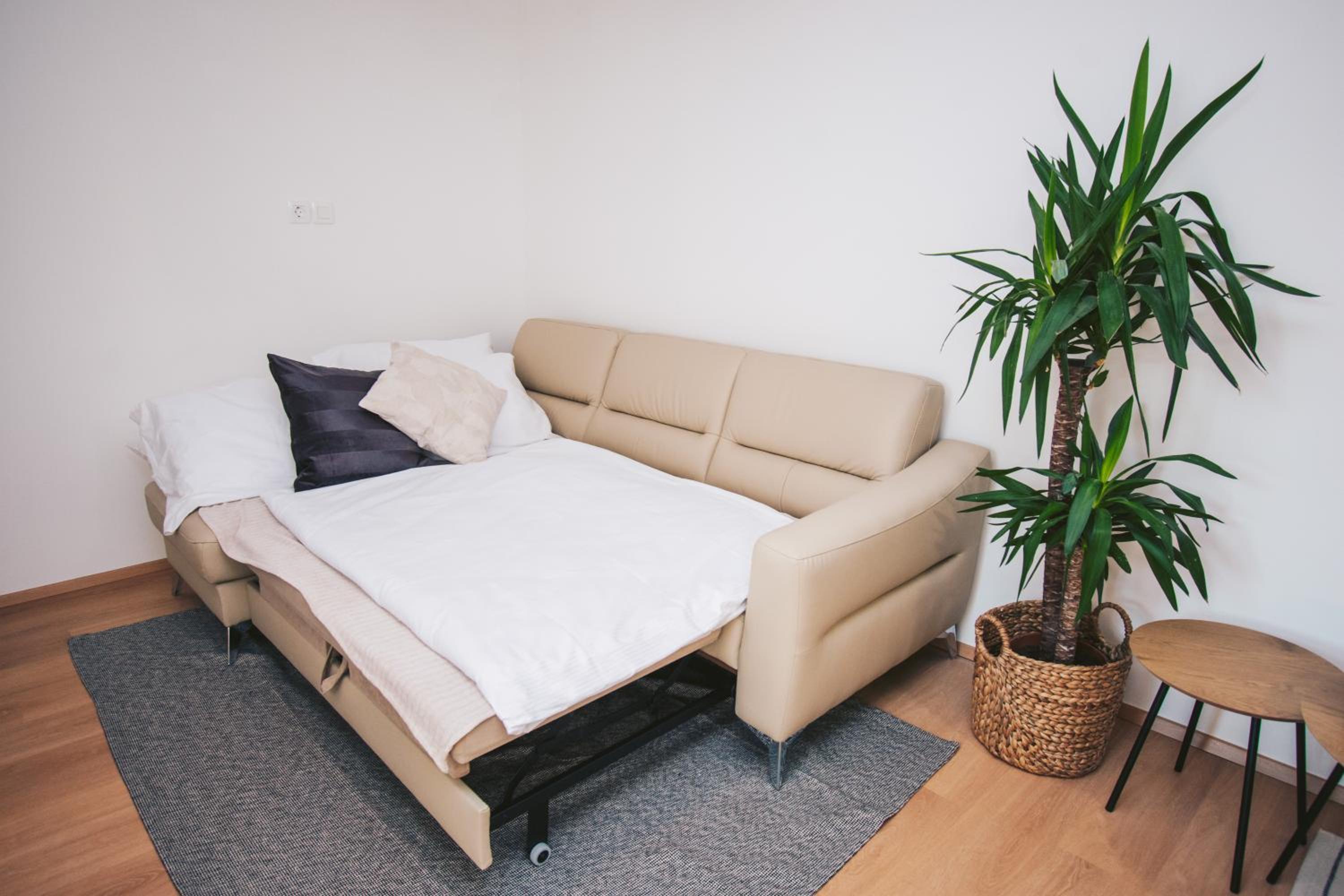 One-Bedroom Apartment - Photo 3