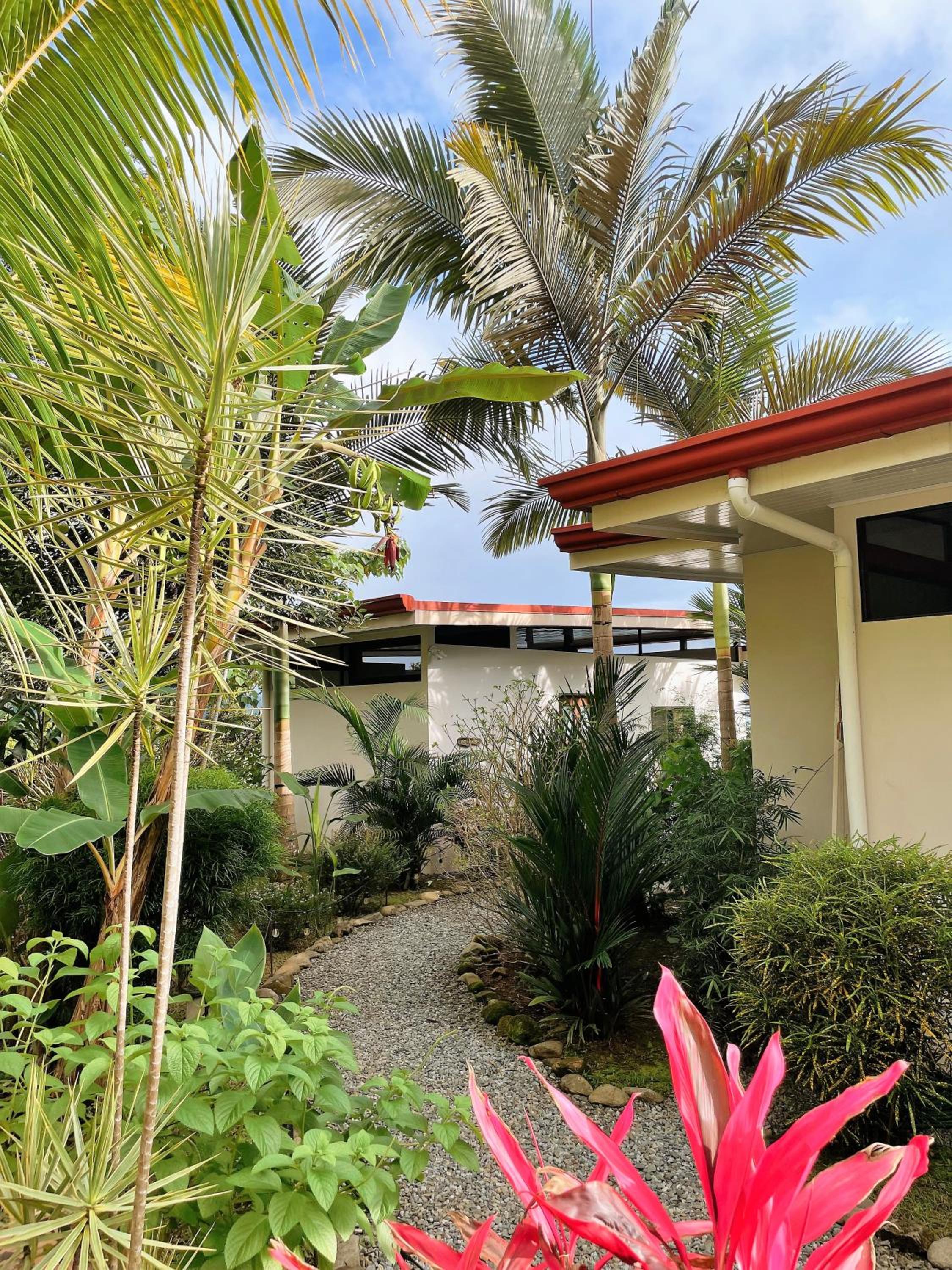 Jungle and Partial Ocean View Villa photo 3
