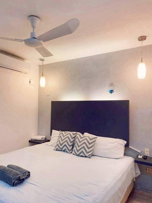 One-Bedroom House photo 2