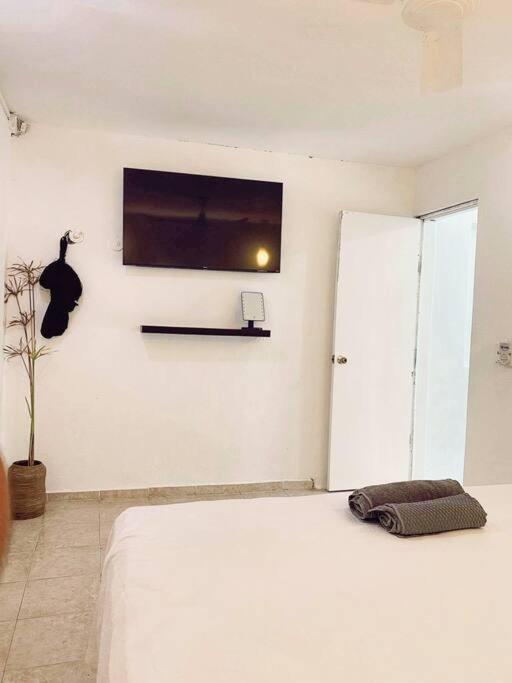 One-Bedroom House photo 3
