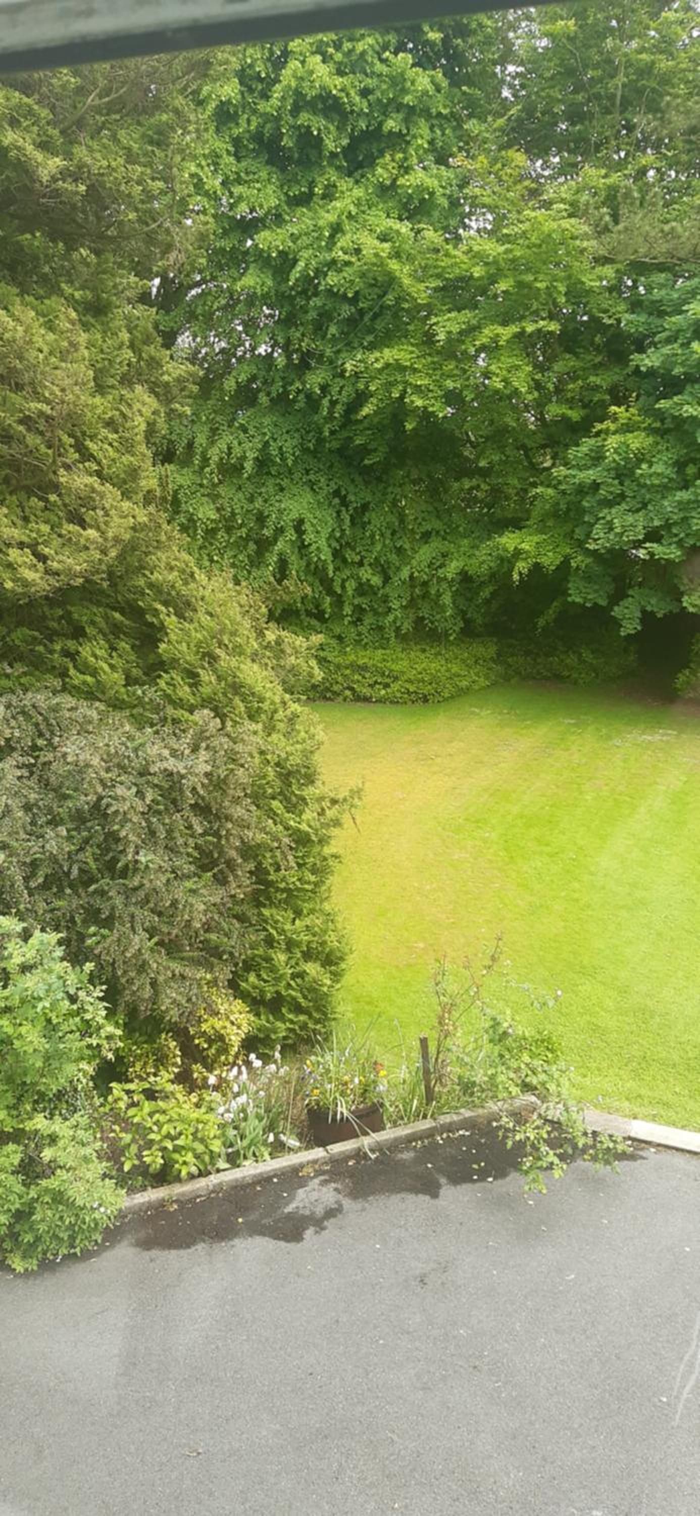 Double Room with Garden View - Photo 3