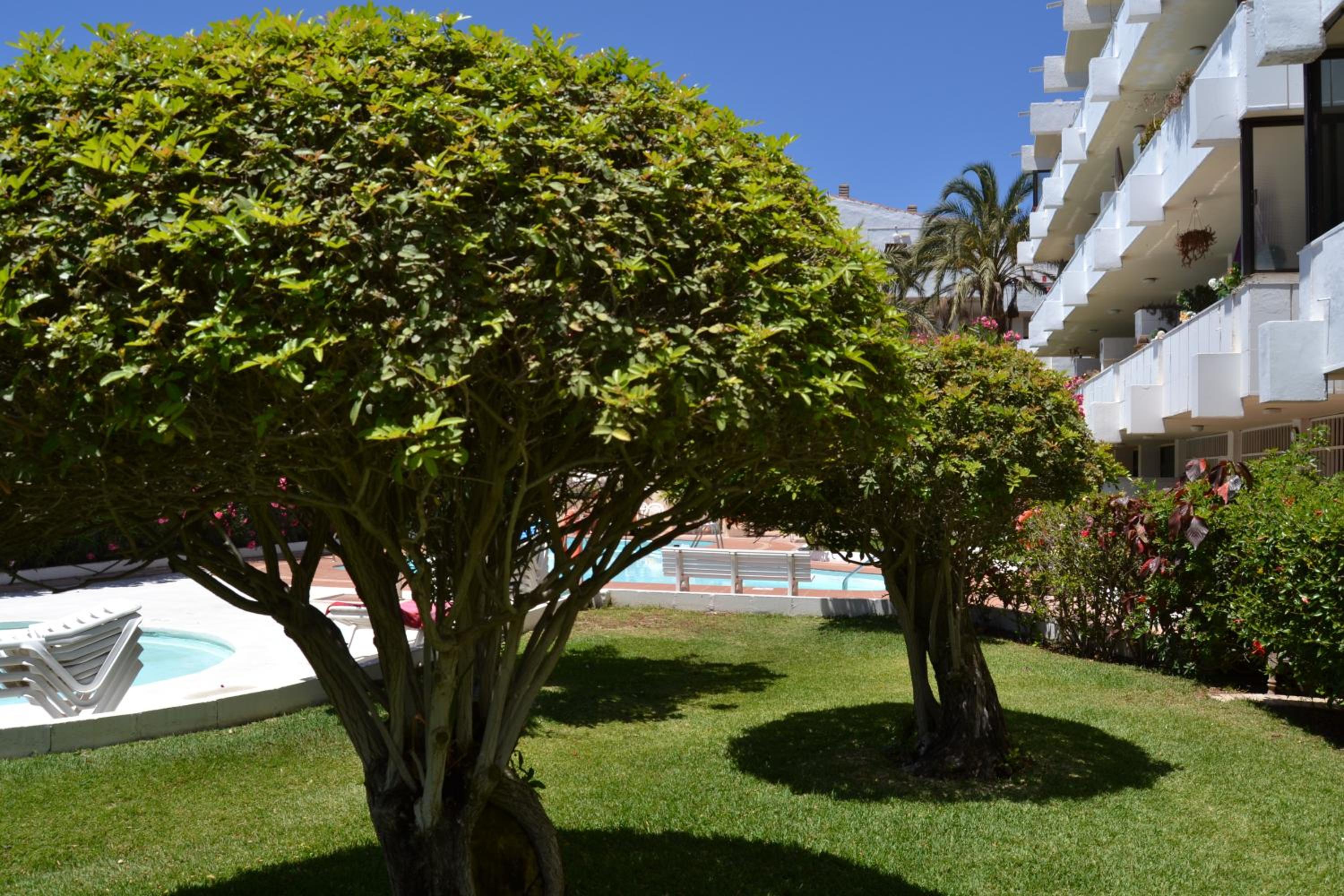 One-Bedroom Apartment with Sea View and Terrace photo 3