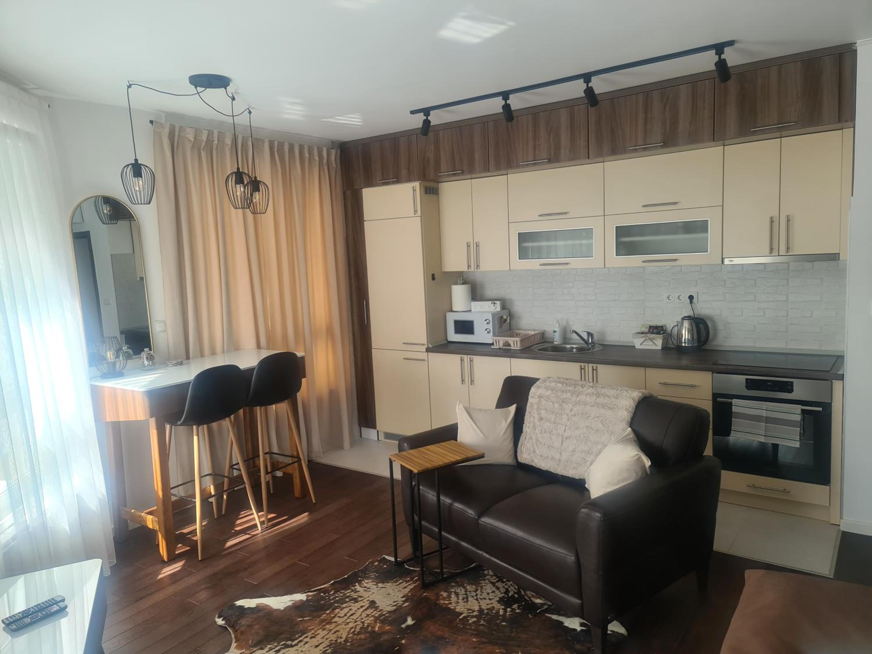 One-Bedroom Apartment photo 2