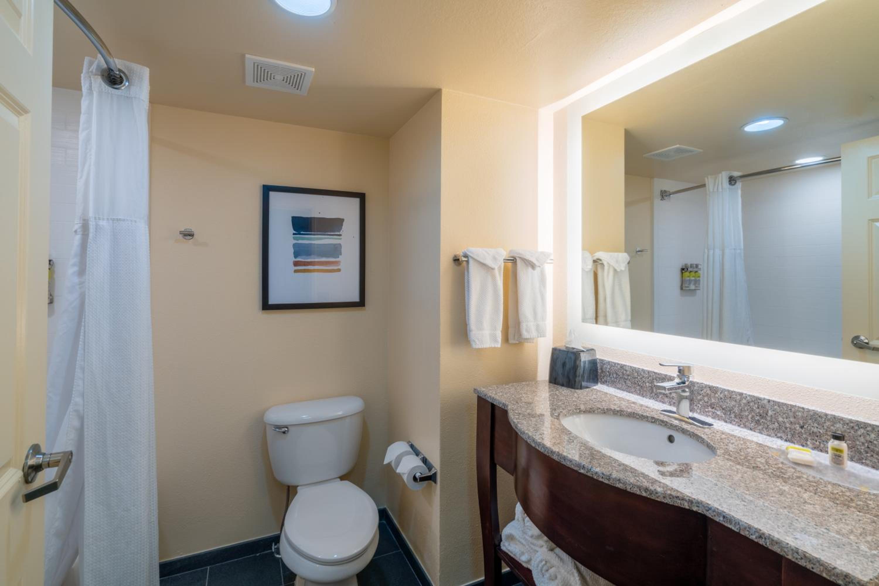 One-Bedroom King Suite - Photo 11