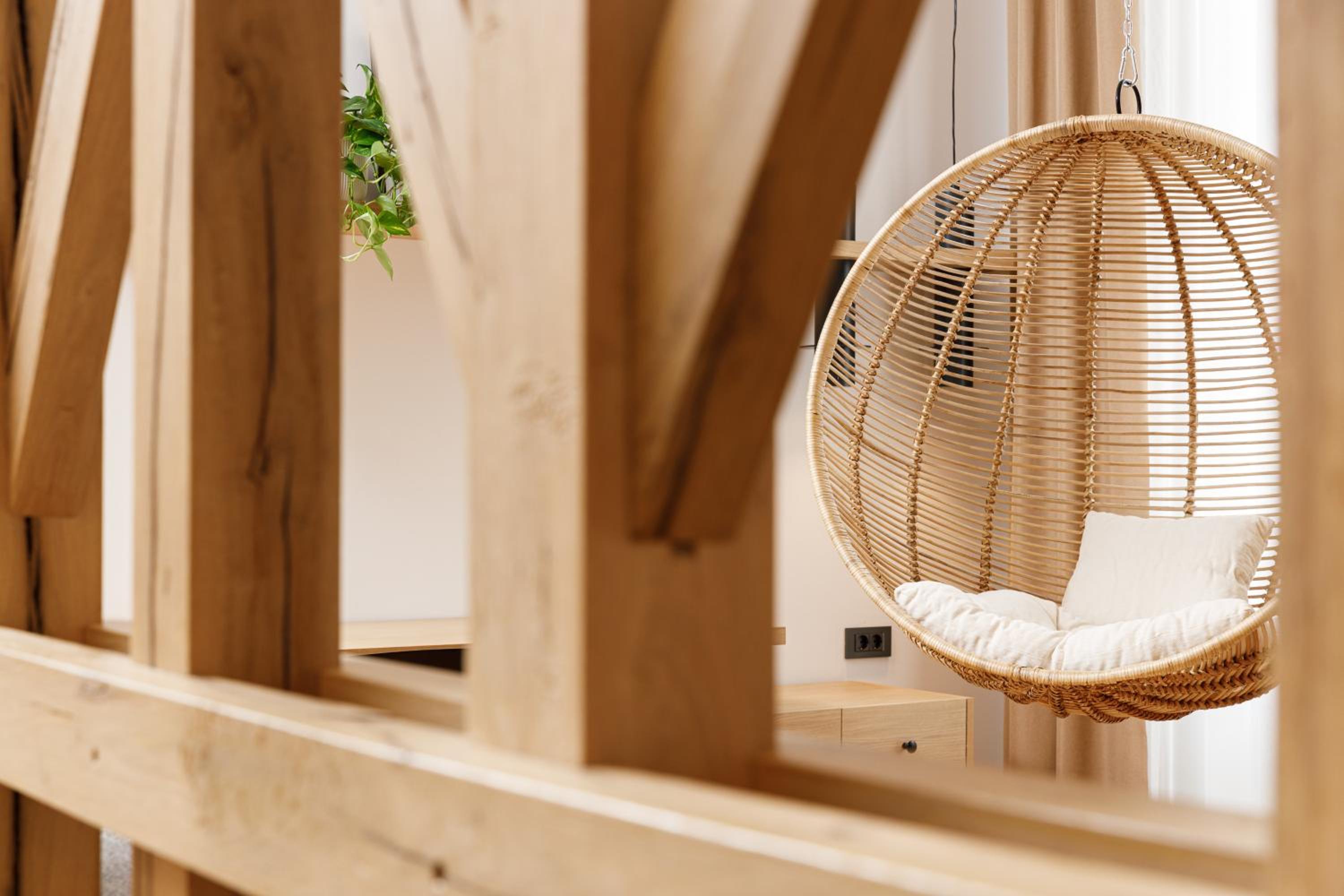 Deluxe Apartment with Hanging Chair - Photo 2
