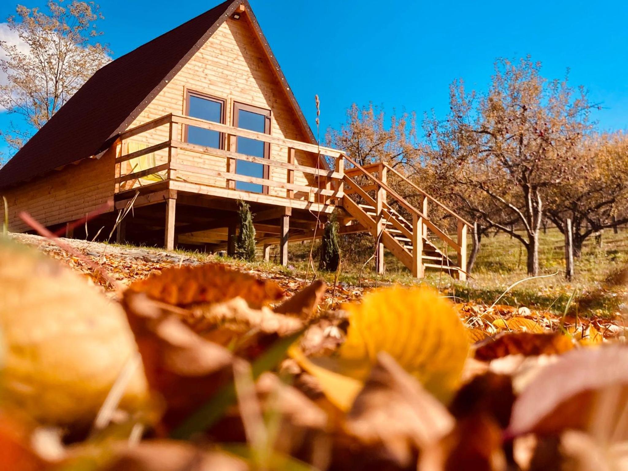One-Bedroom Chalet - Photo 29